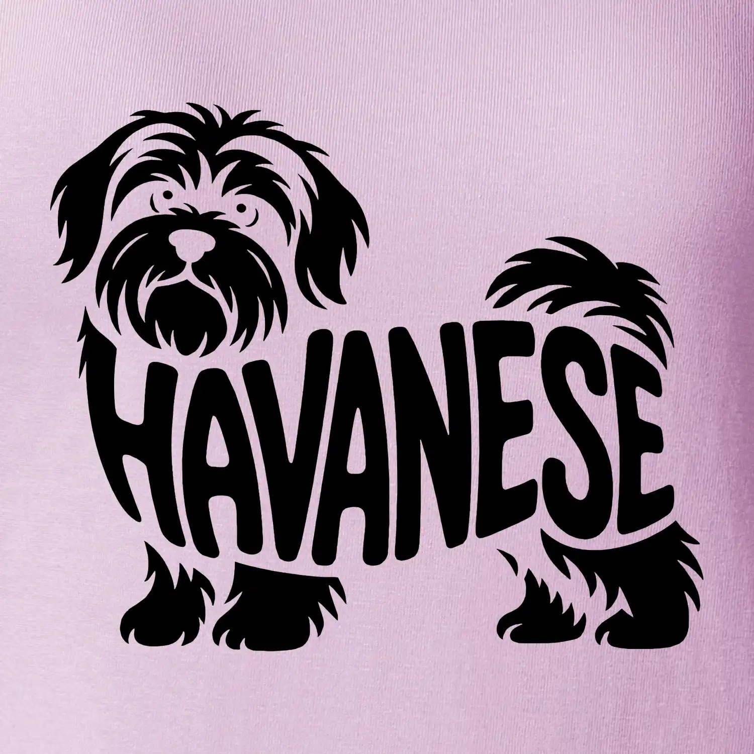 Havanese nápis v těle