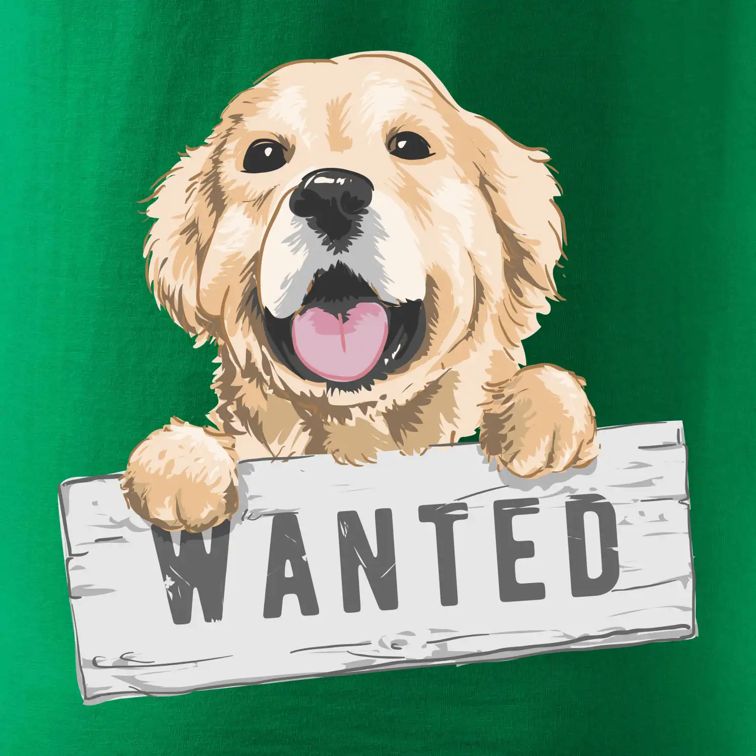 Zlatý retriever - štěně wanted