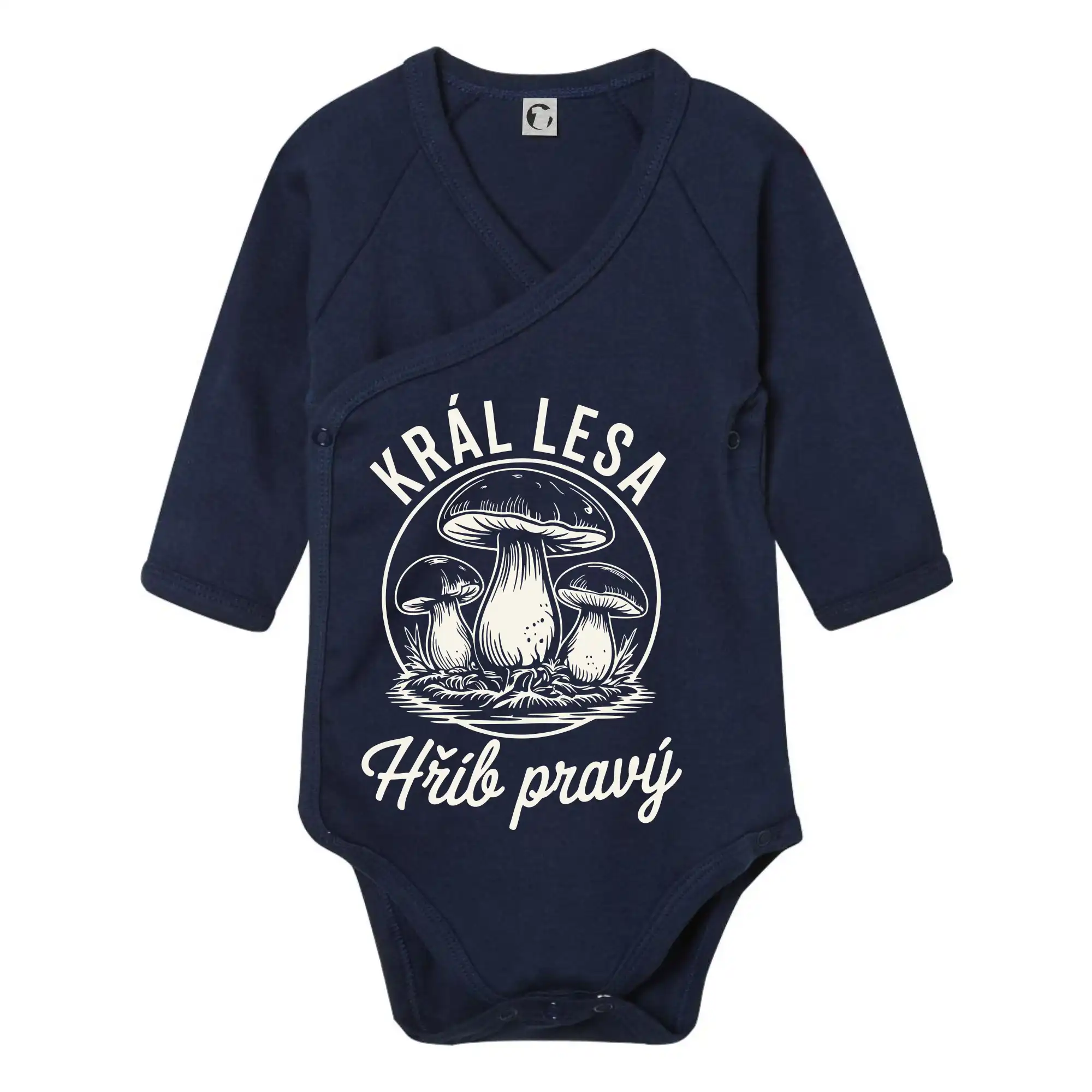 Král lesa hřib pravý