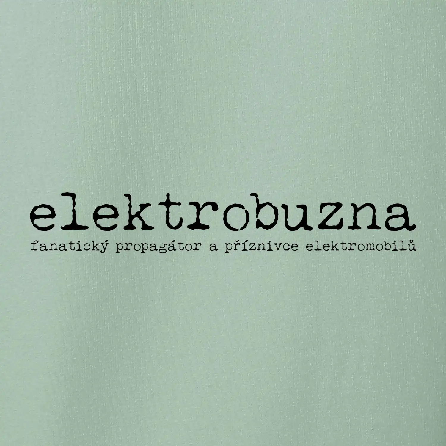 Čeština 2.0 - elektrobuzna