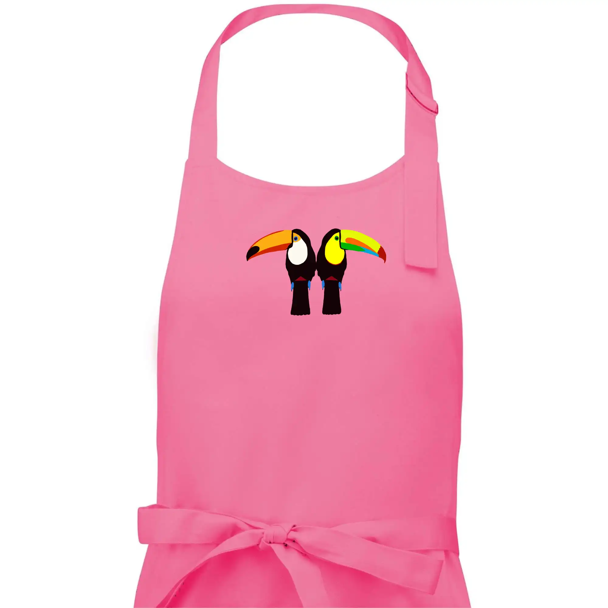 Dva barevní tukani (Moňas)