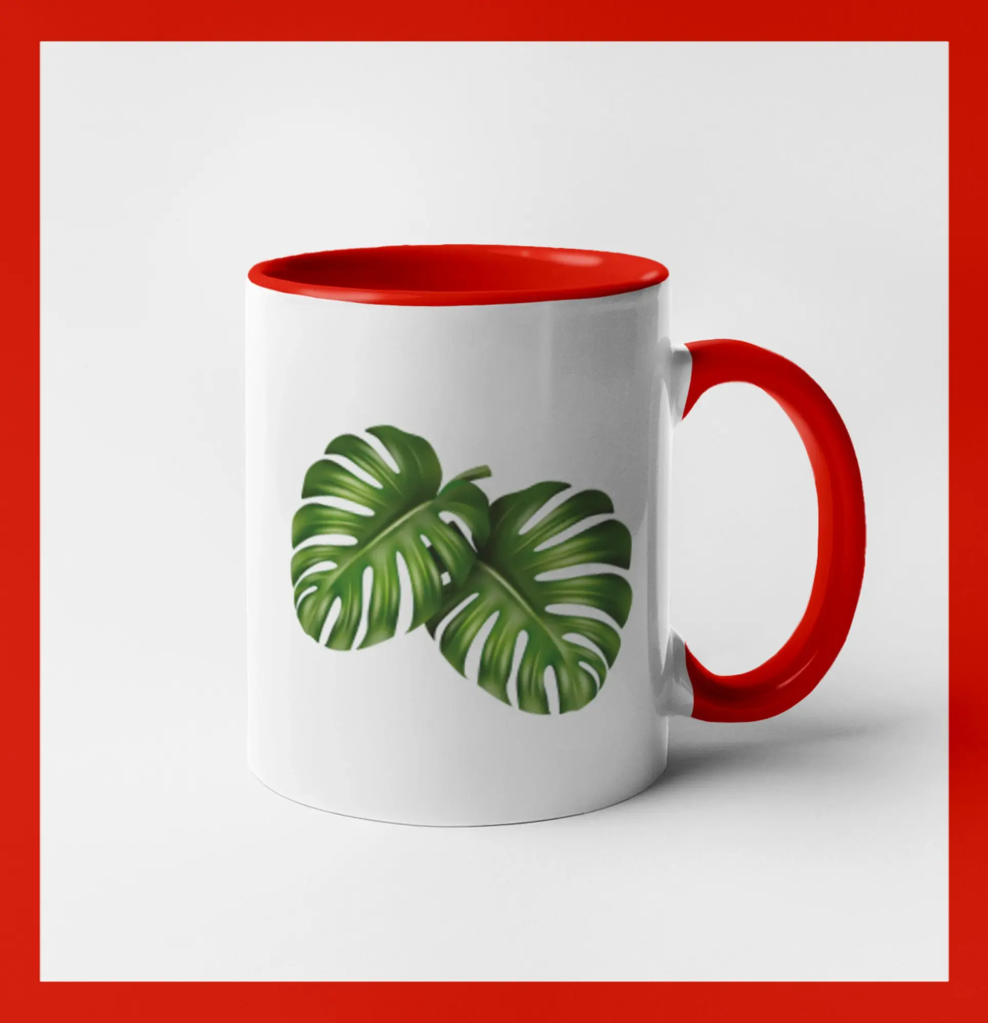 Monstera - dva listy