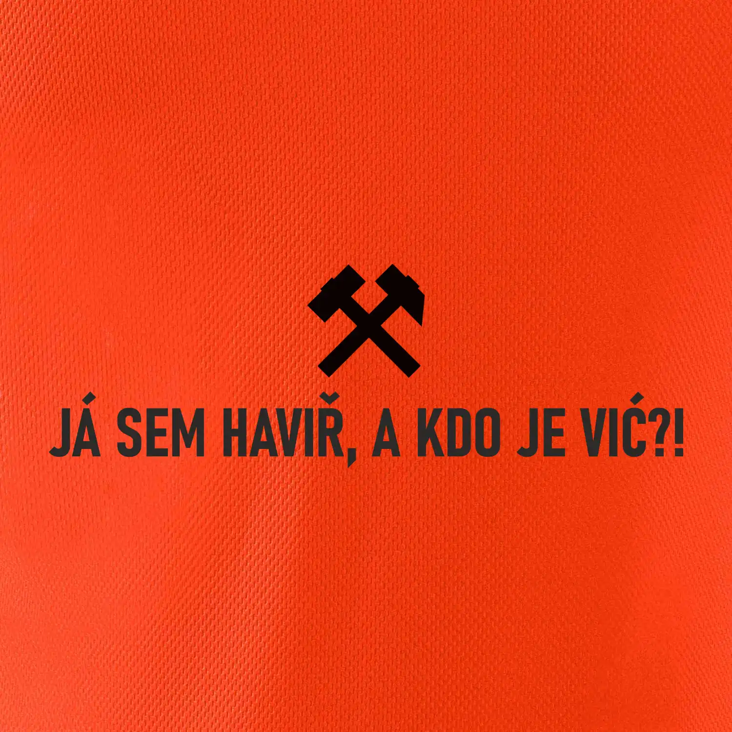 JÁ SEM HAVIŘ, A KDO JE VIĆ?!﻿