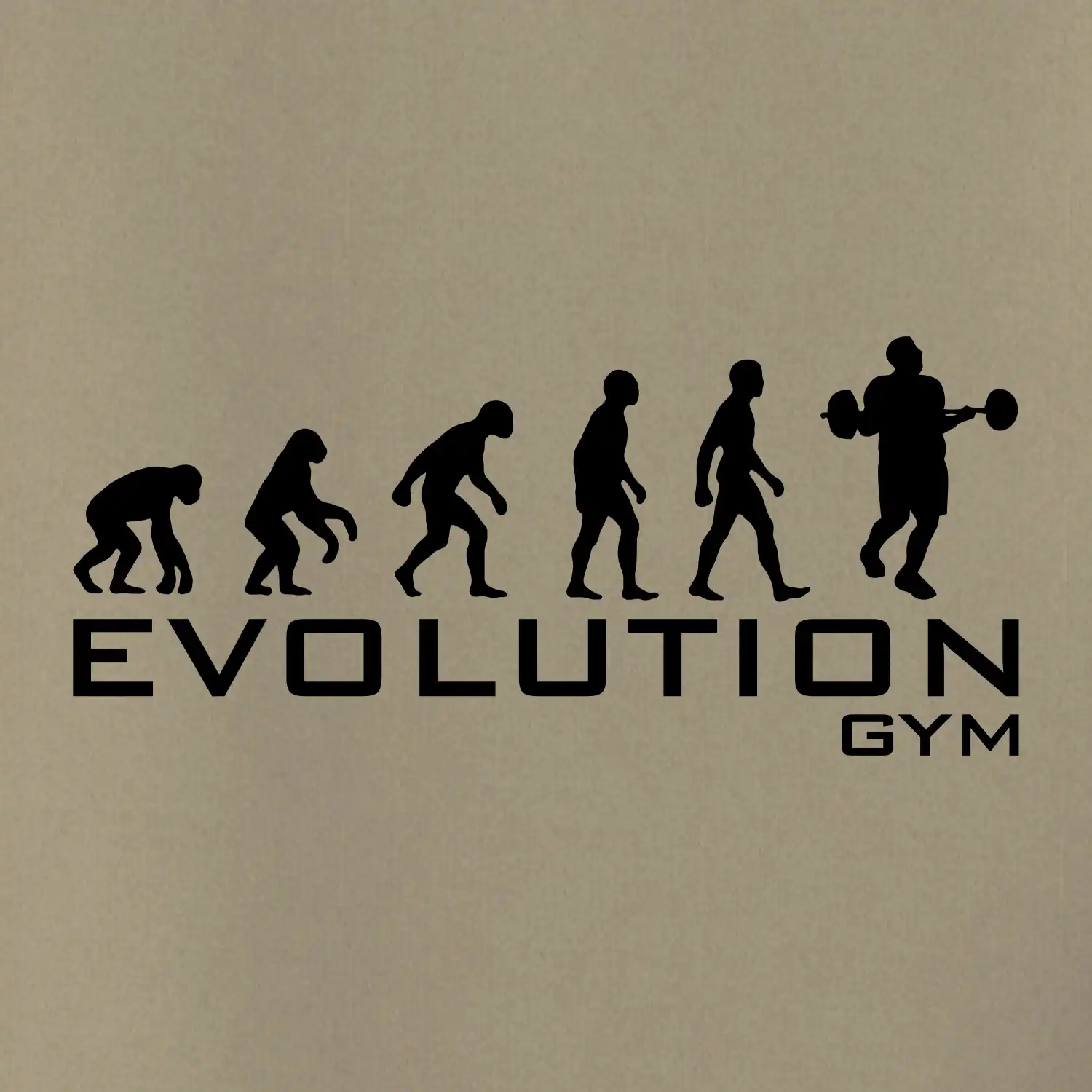 Evoluce Gym