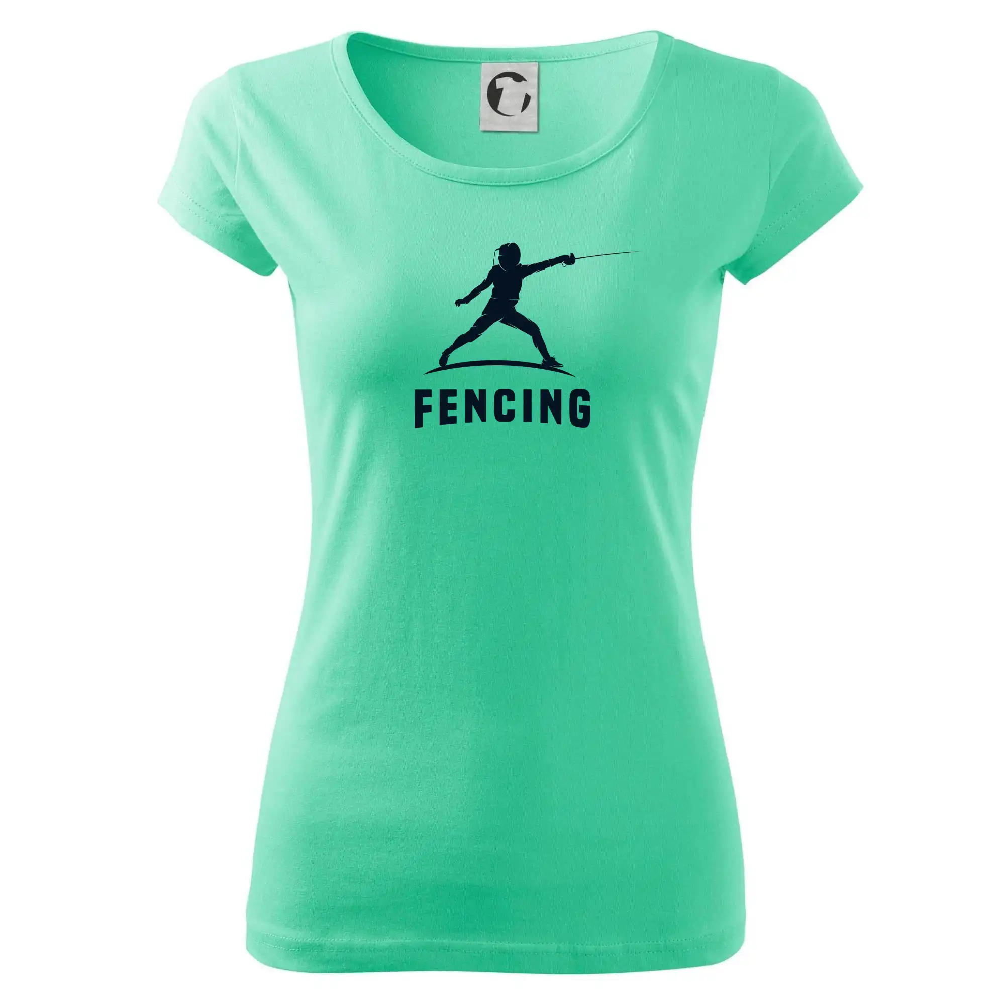 Fencing (šerm) - postava