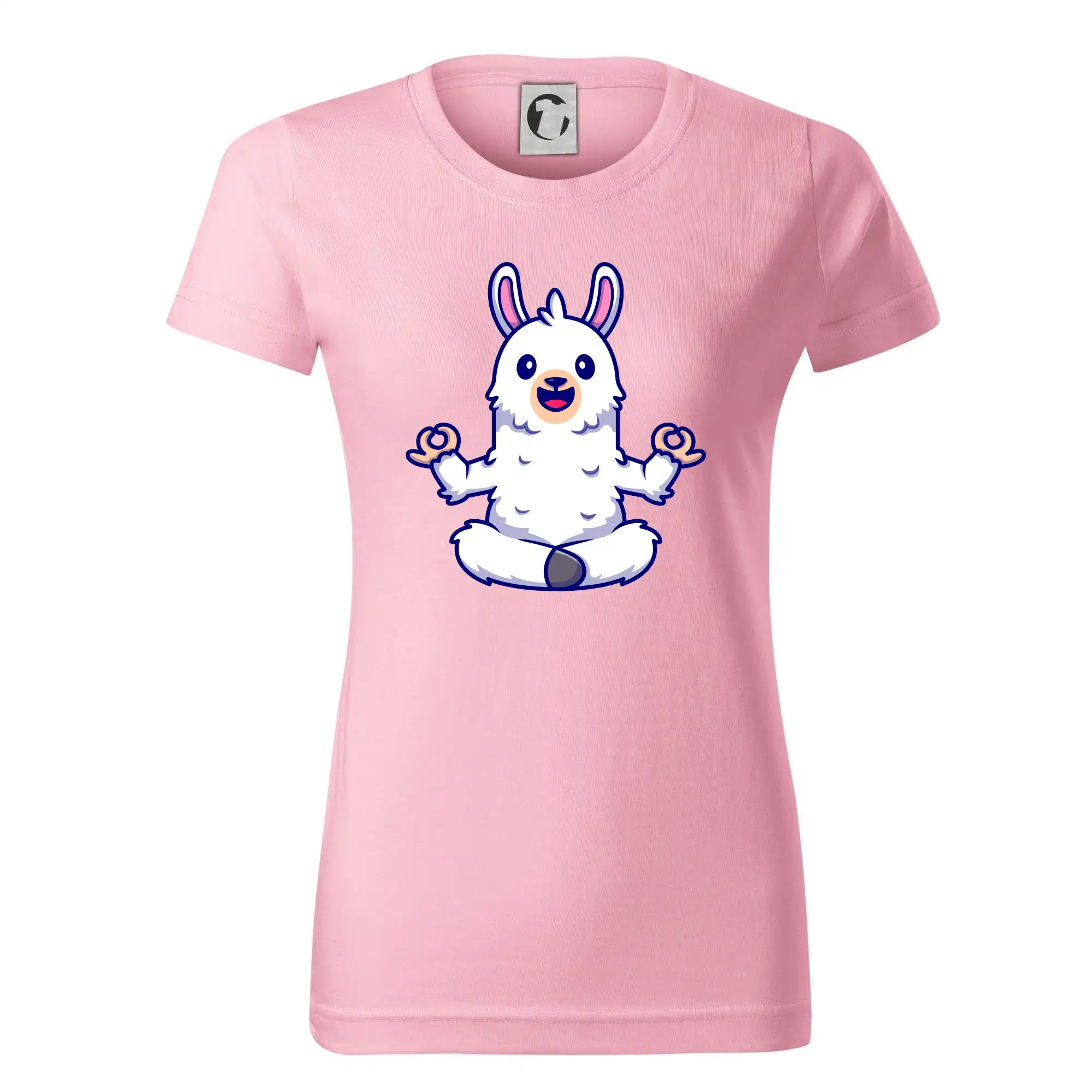 Yoga meditace - lama