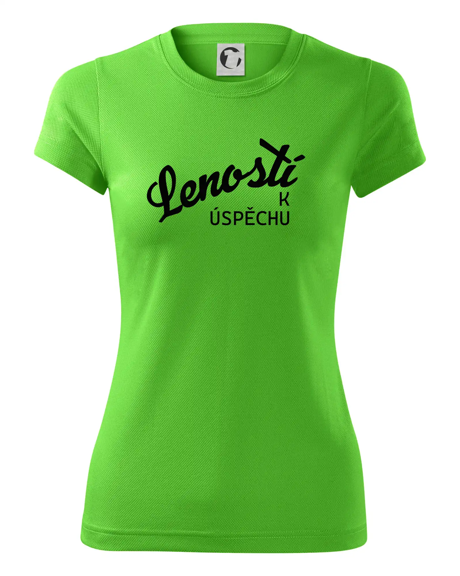 Leností k úspěchu - psací