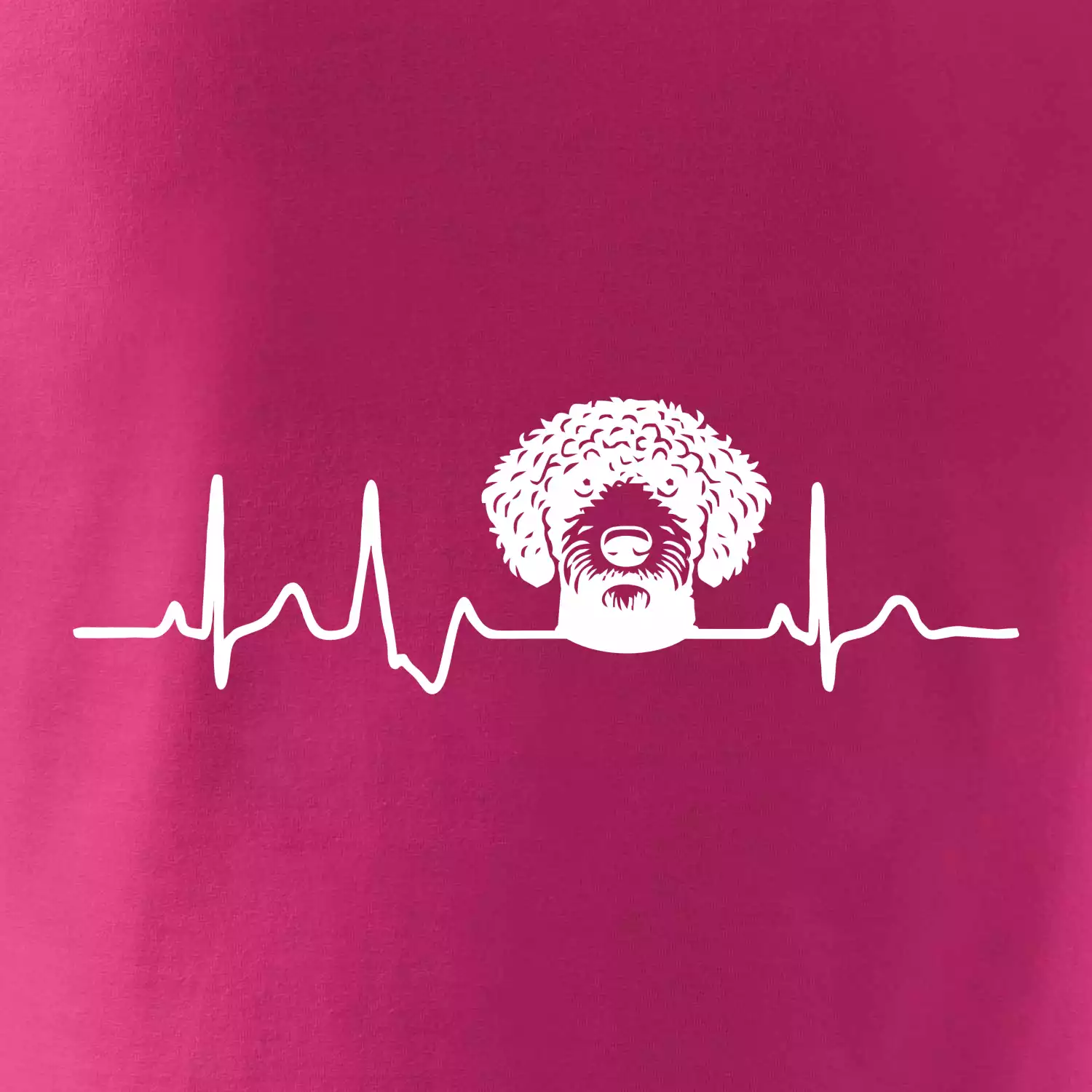 Lagotto romagnolo hlava EKG