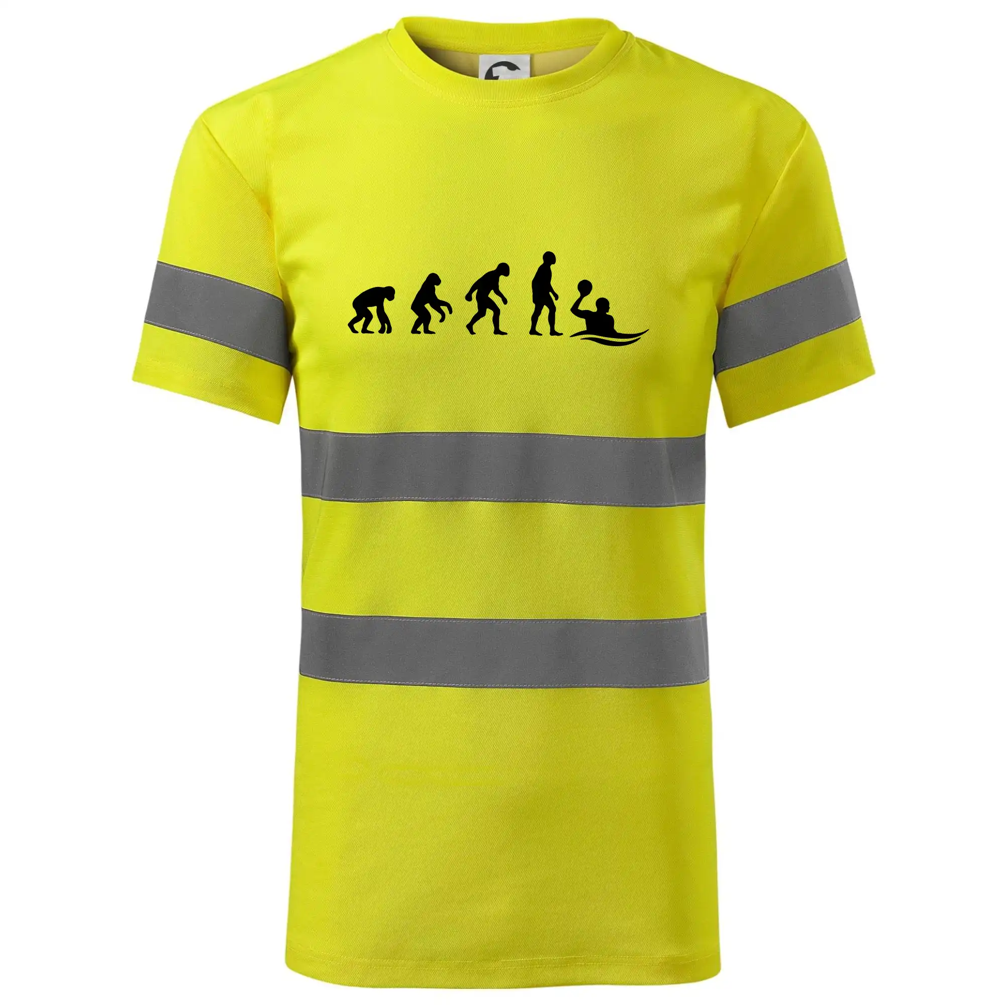 Evoluce Vodní pólo