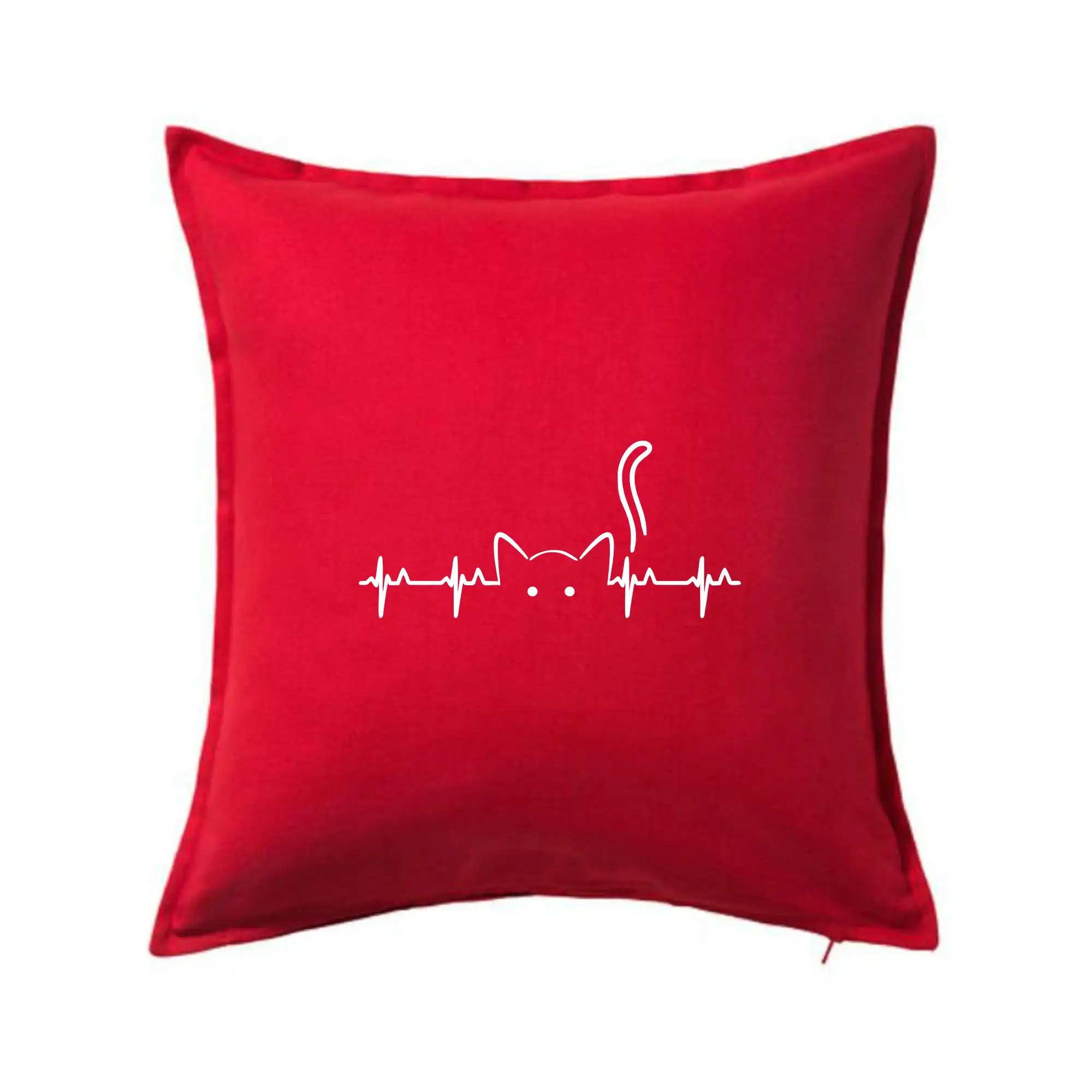 Kočka EKG