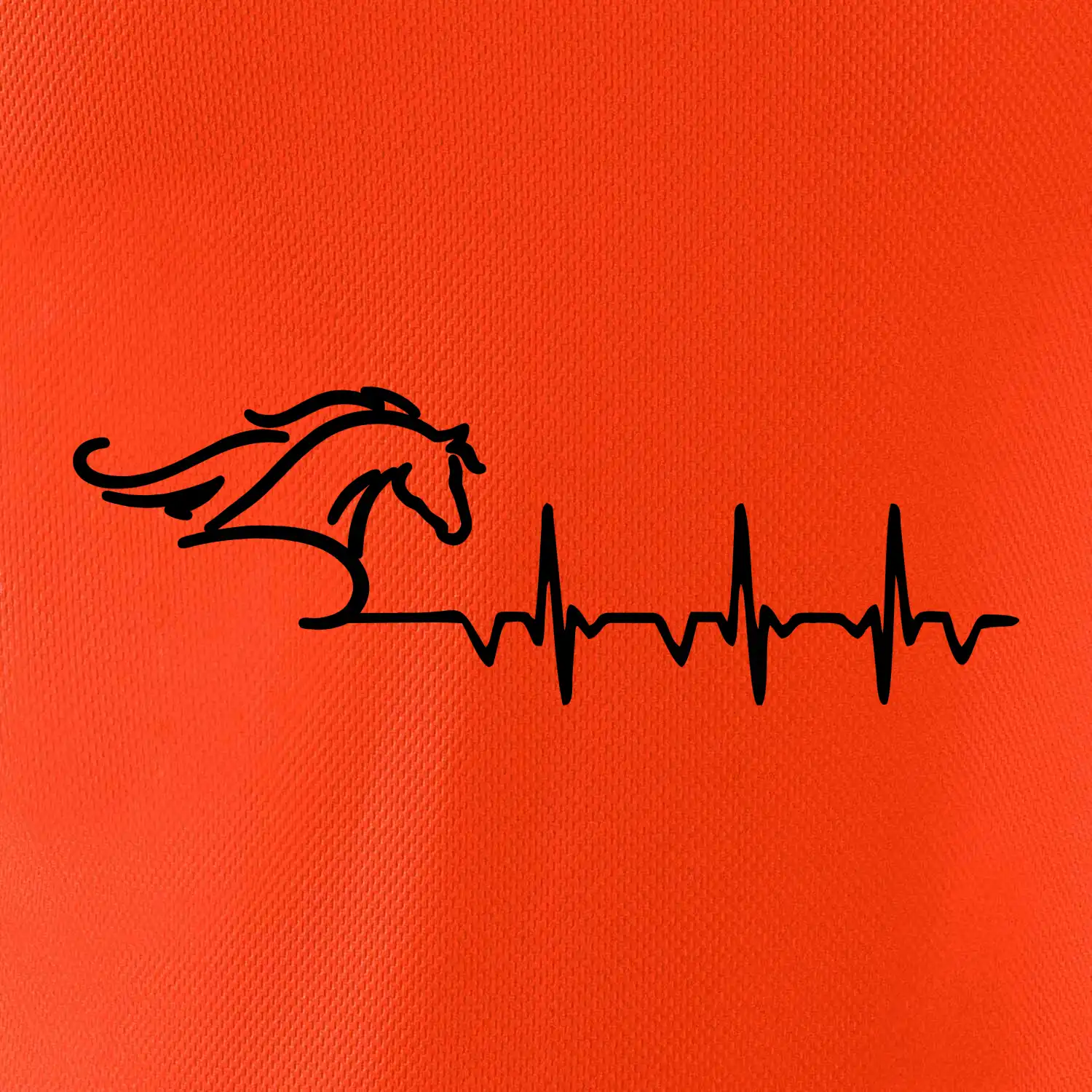 Hlava koně EKG