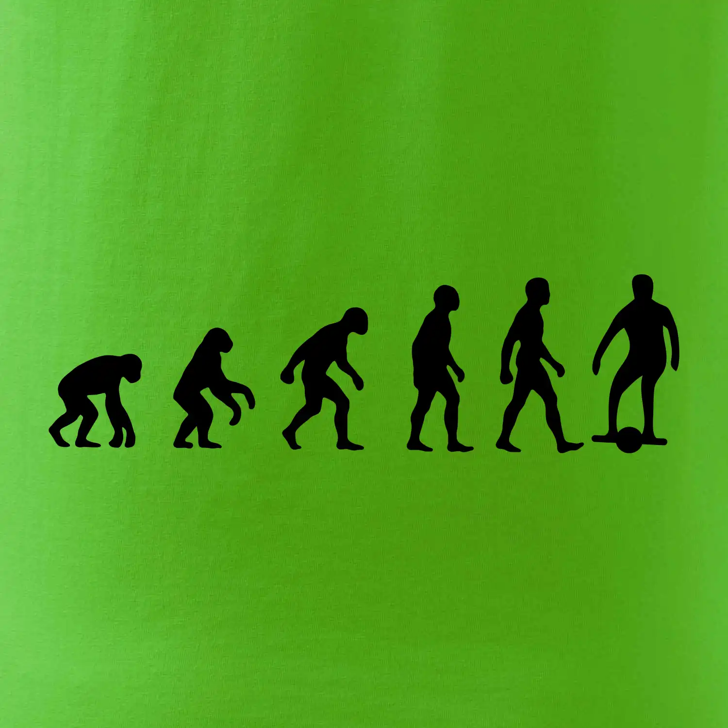 Evoluce onewheel