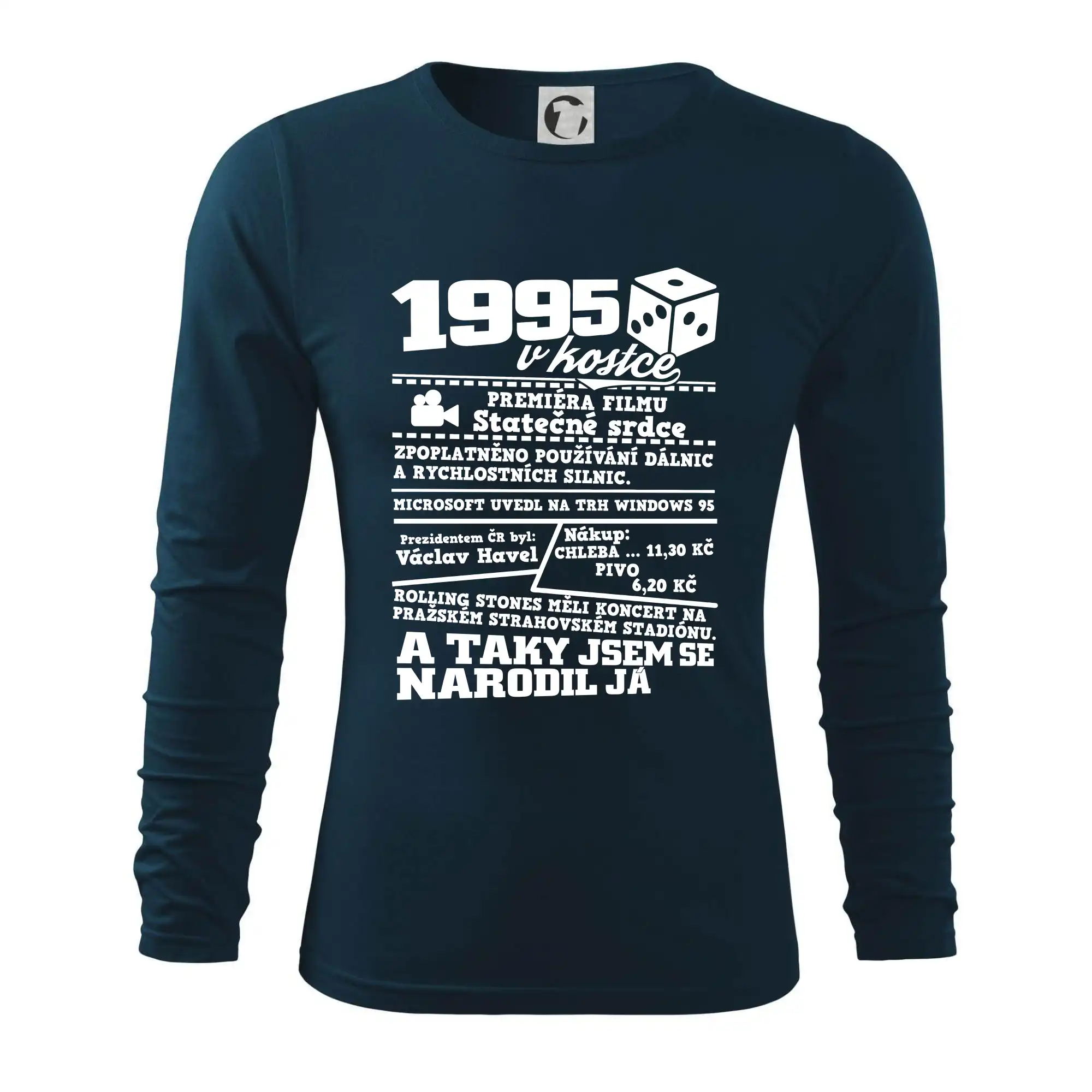 1995 v kostce