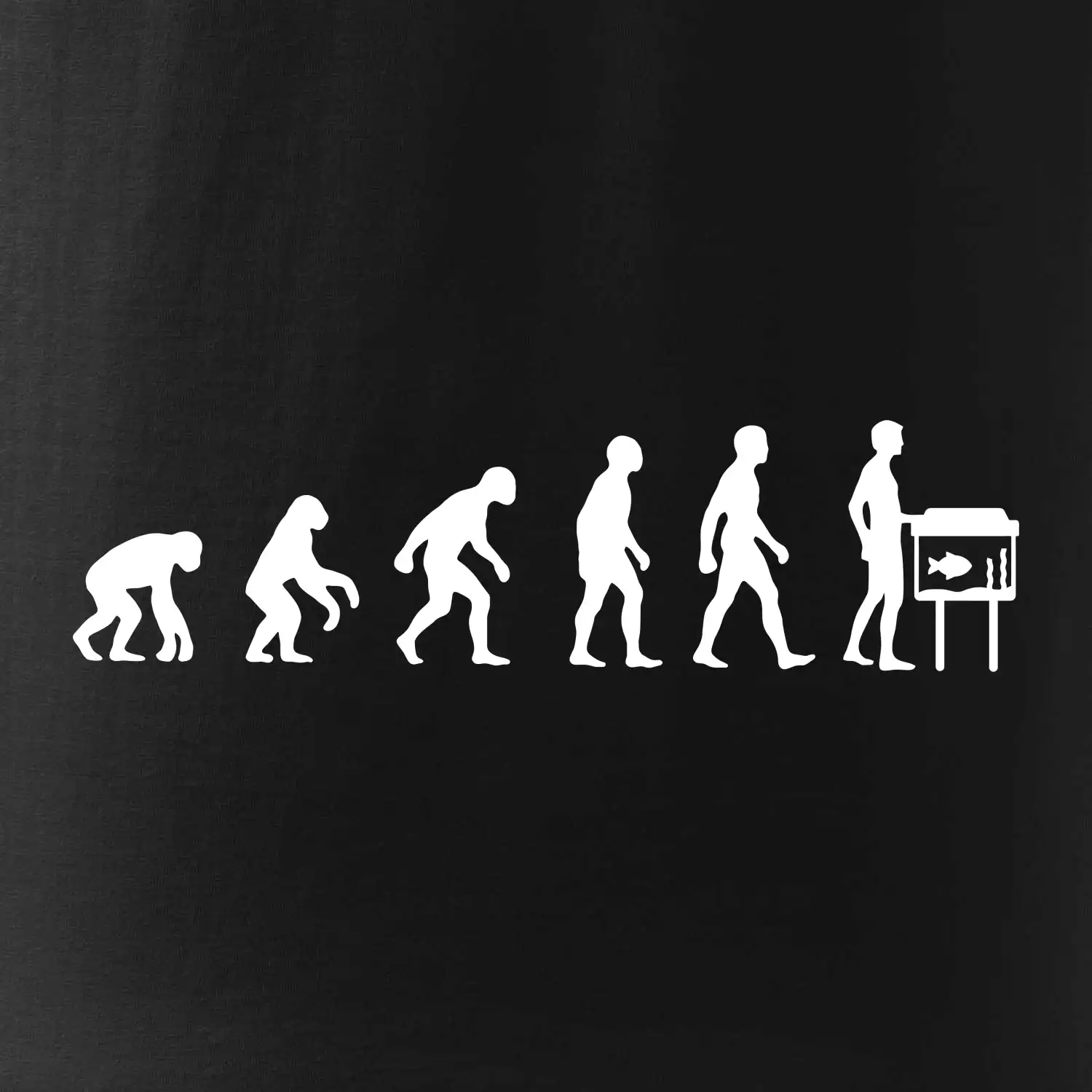 Evoluce akvaristika