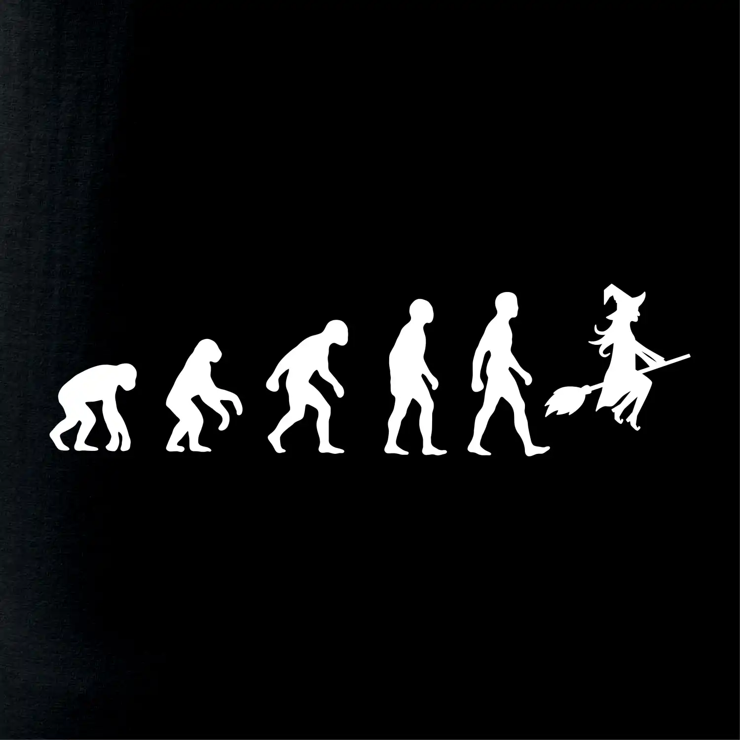 Evoluce čarodějnice