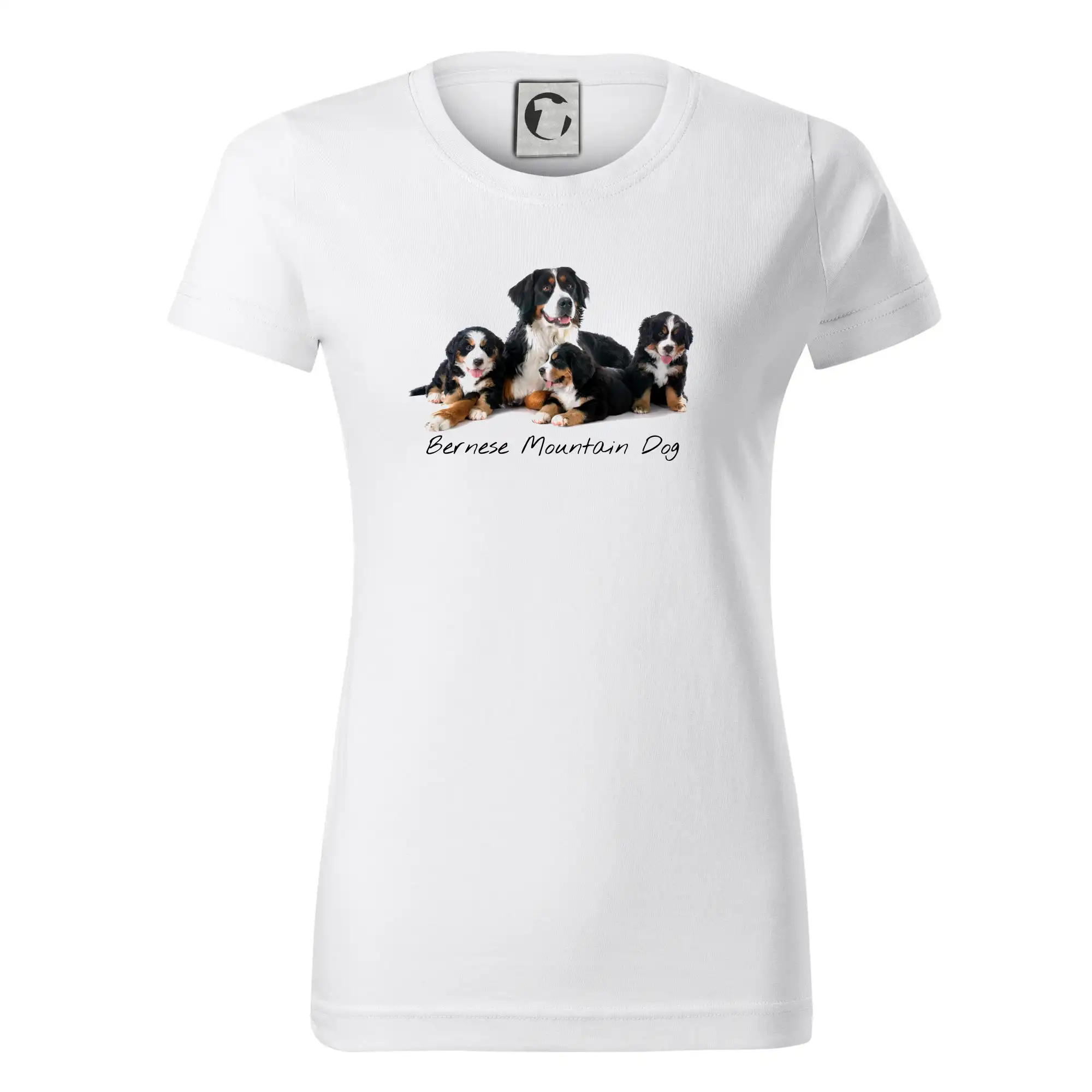 Bernese mountain dog celá rodina