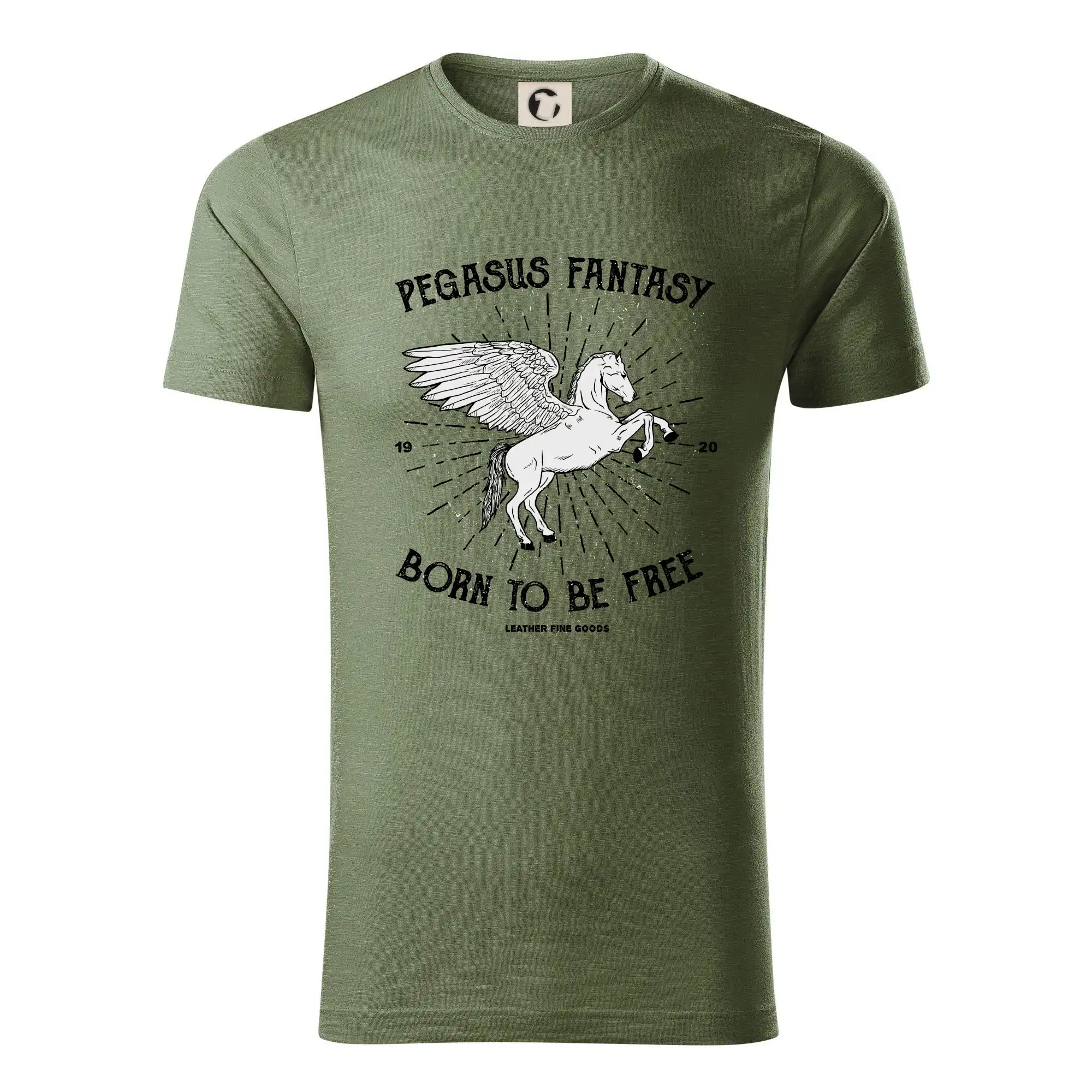 Pegasus fantasy