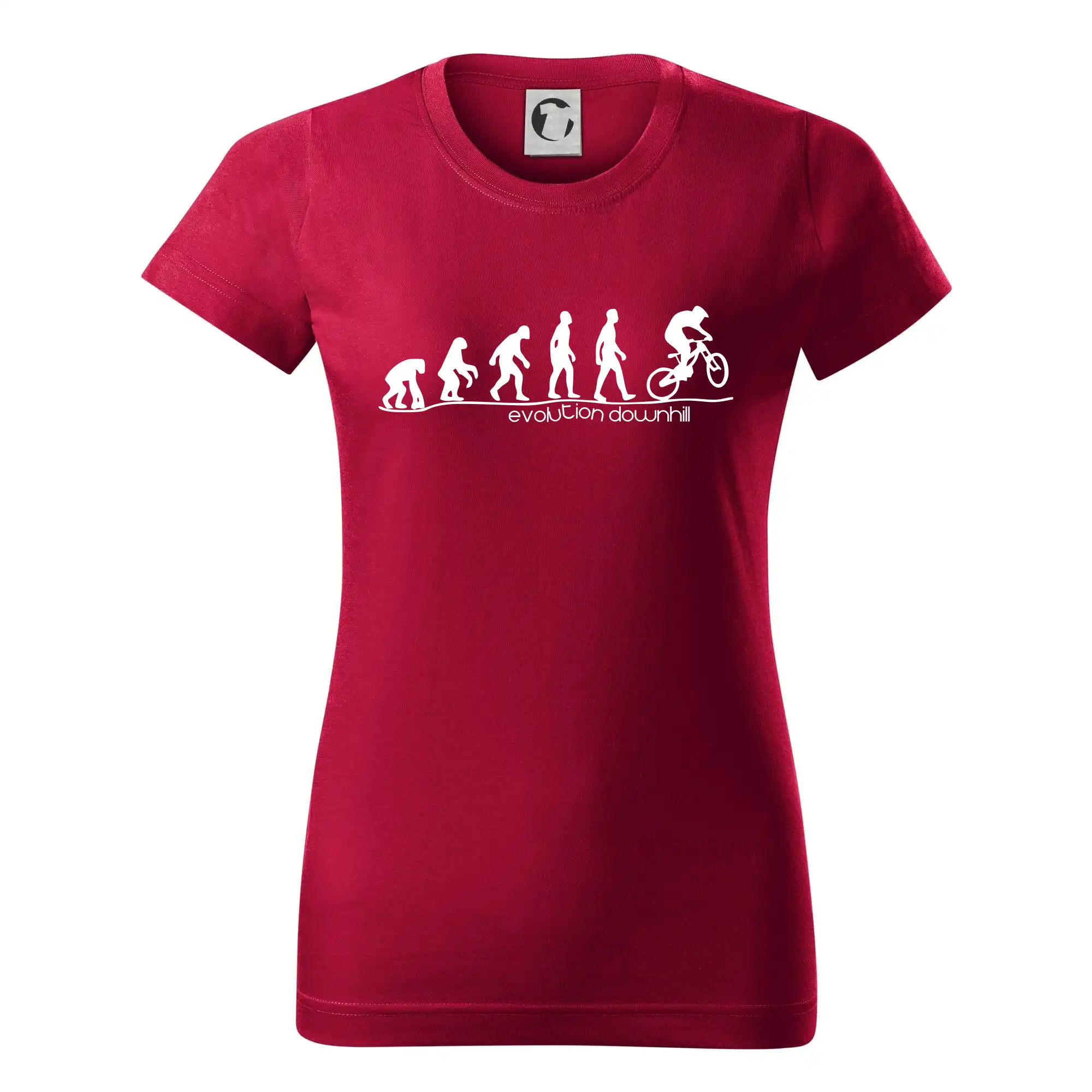 Evolution Downhill