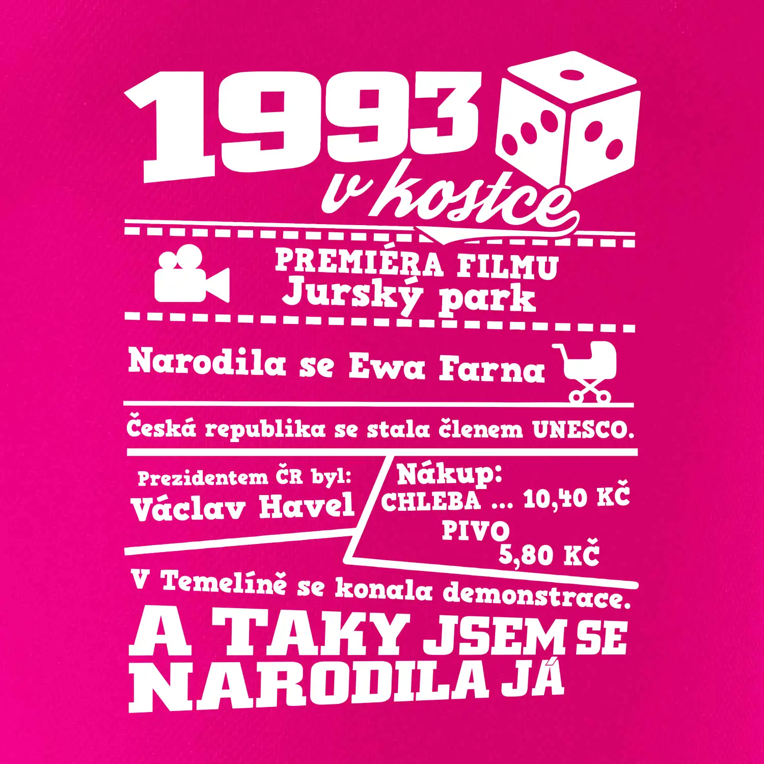 1993 v kostce