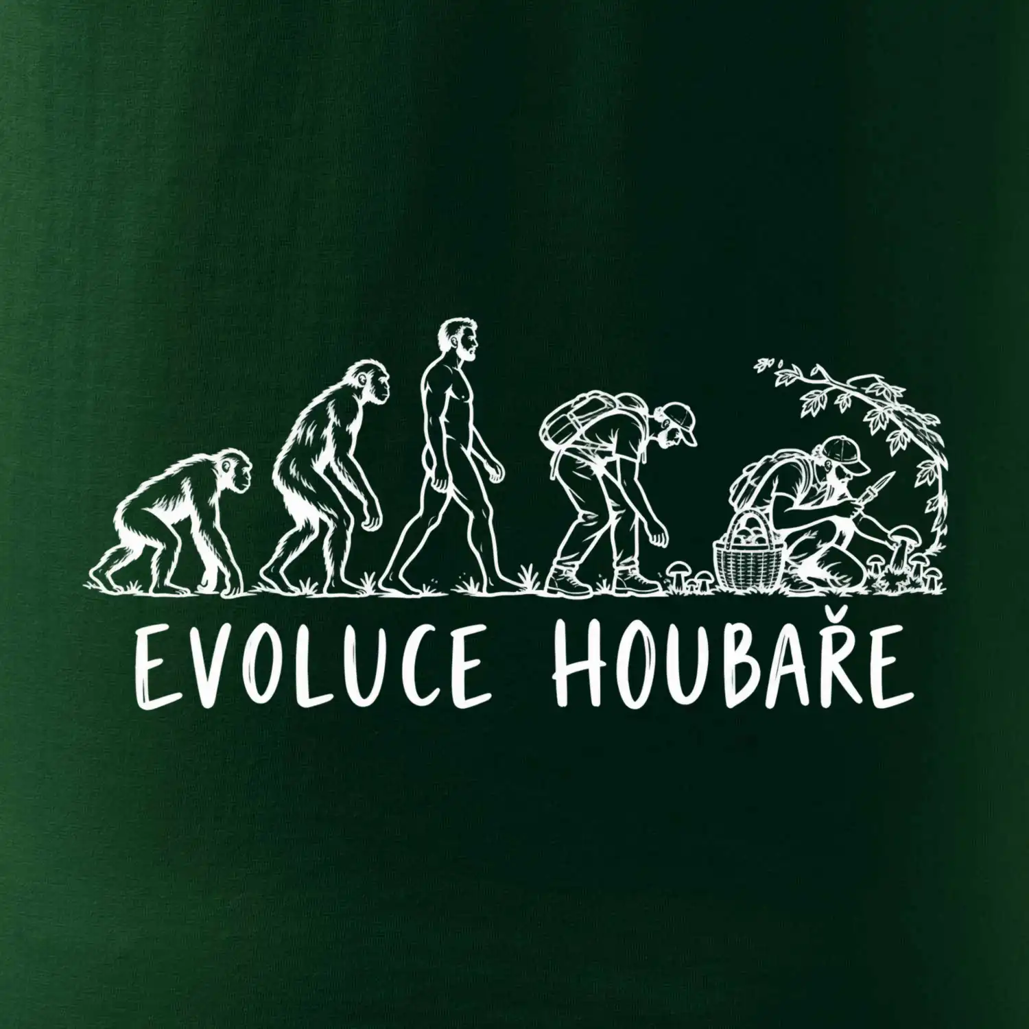 Evoluce houbaře