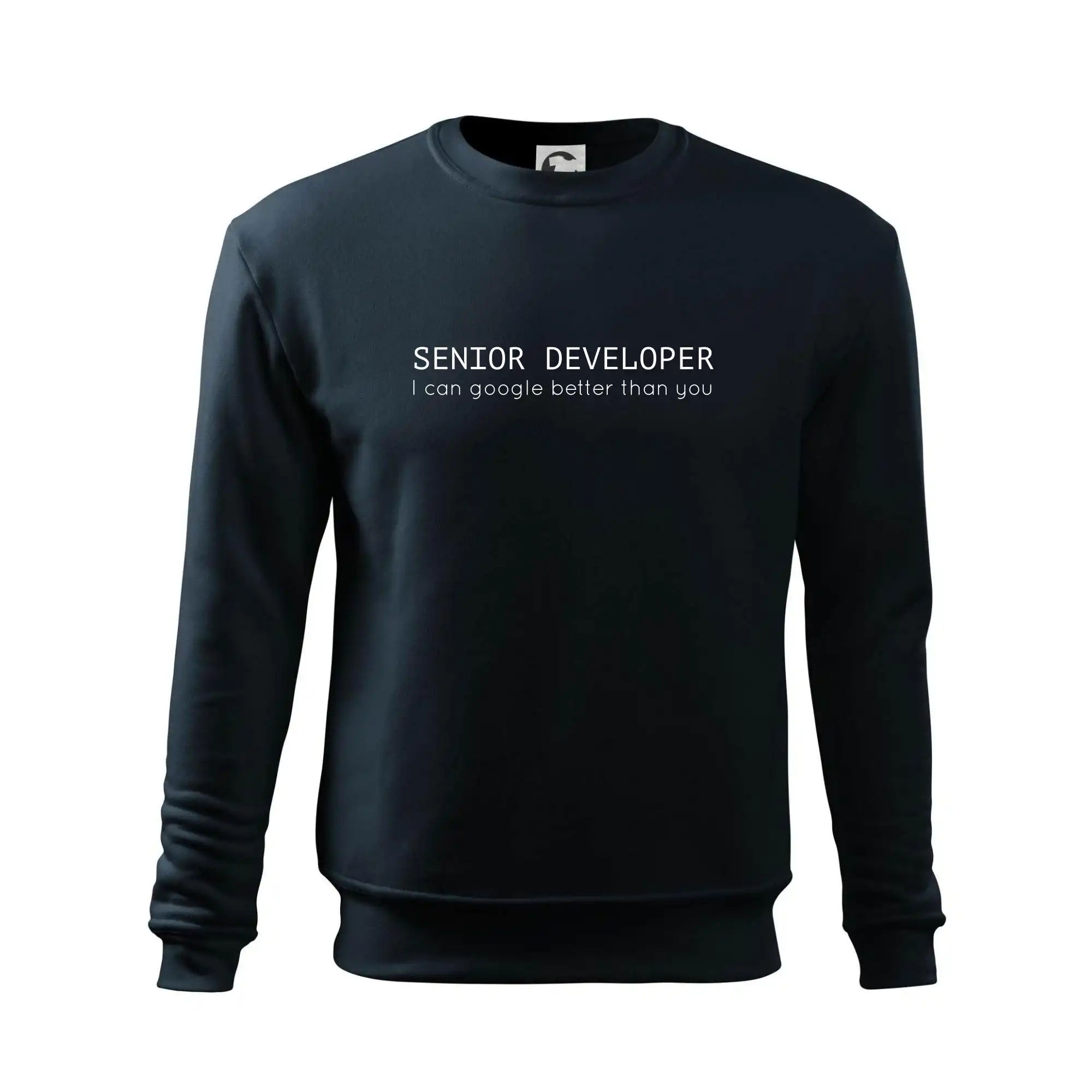 Senior developer google better than you