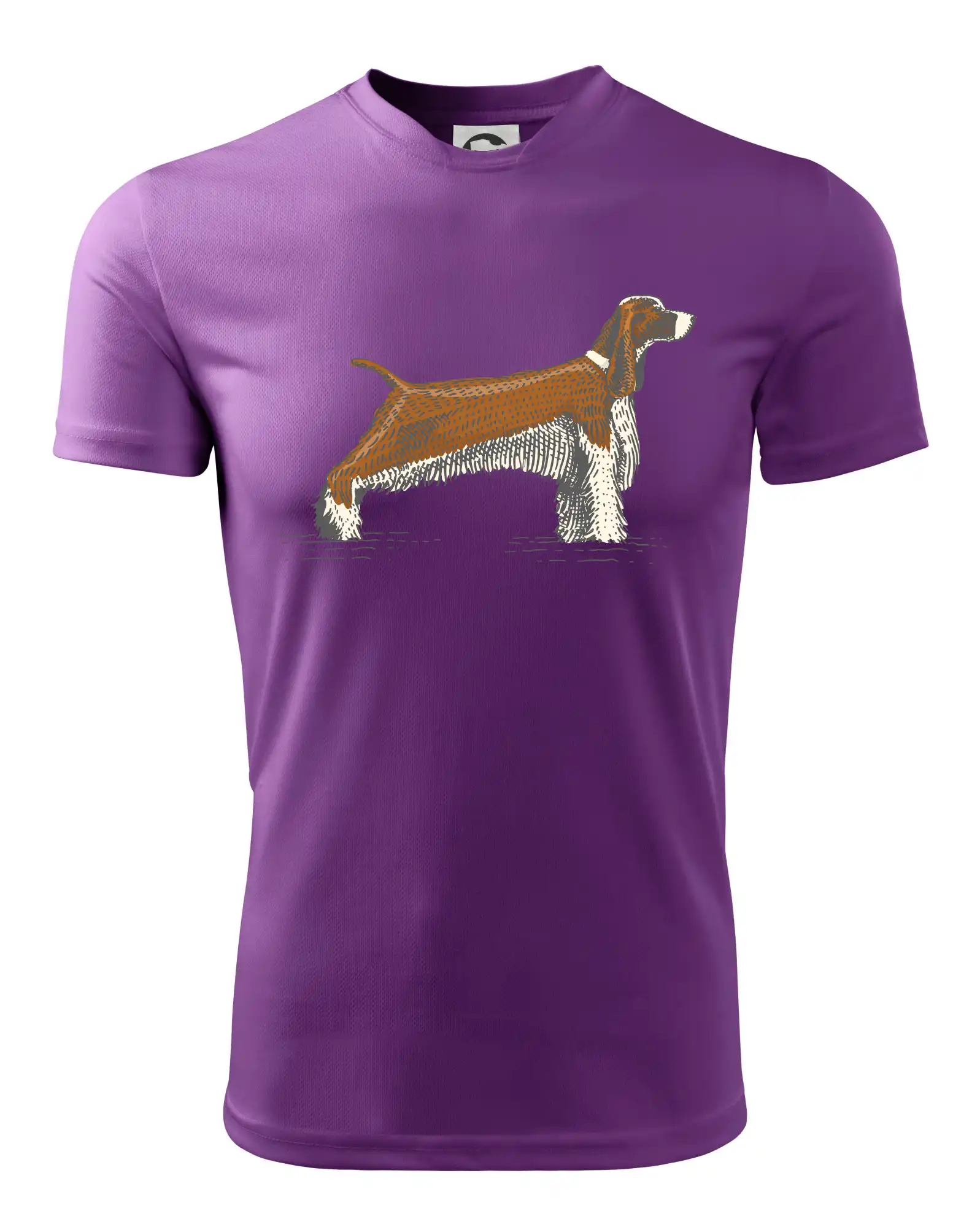 Vintage Springer spaniel