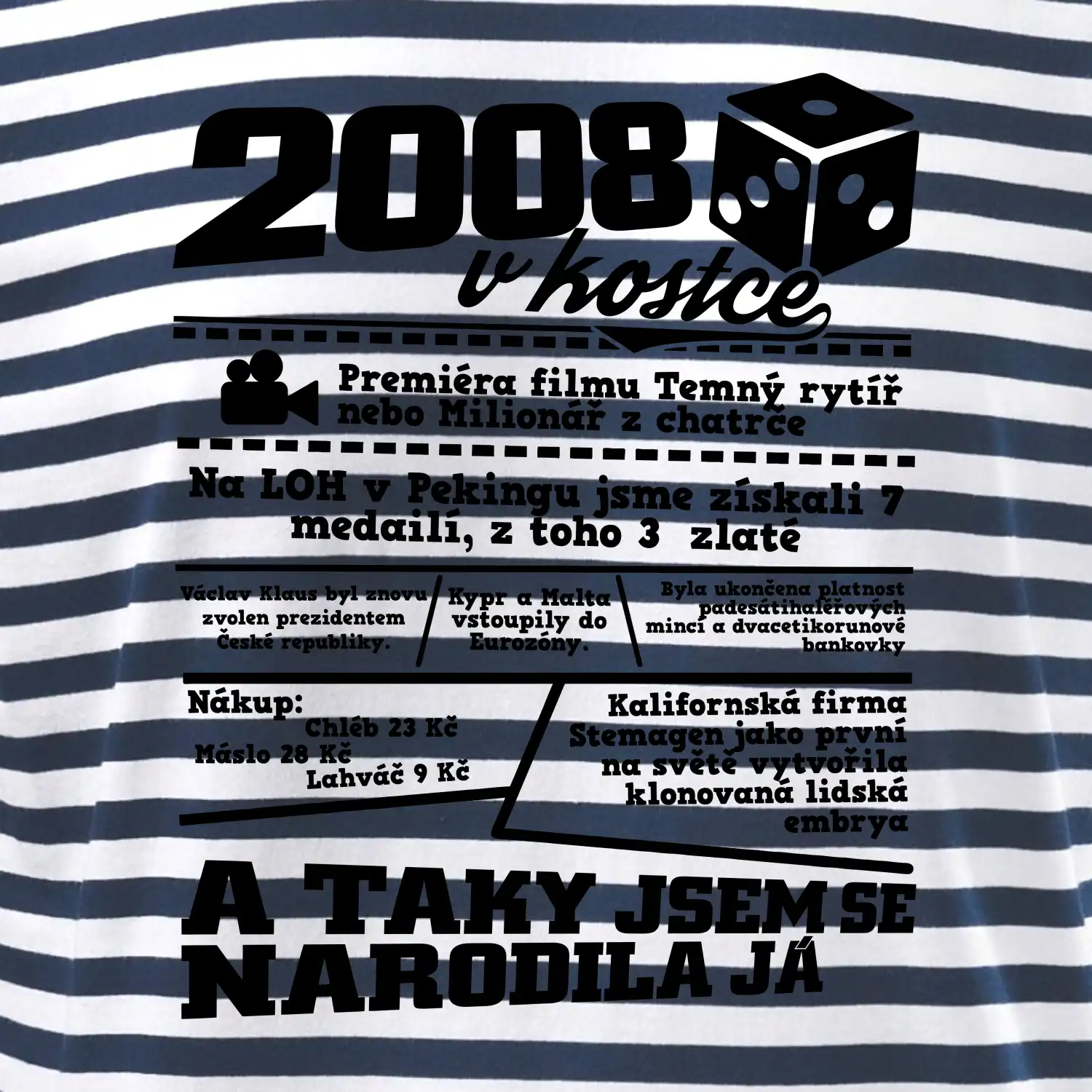 2008 v kostce