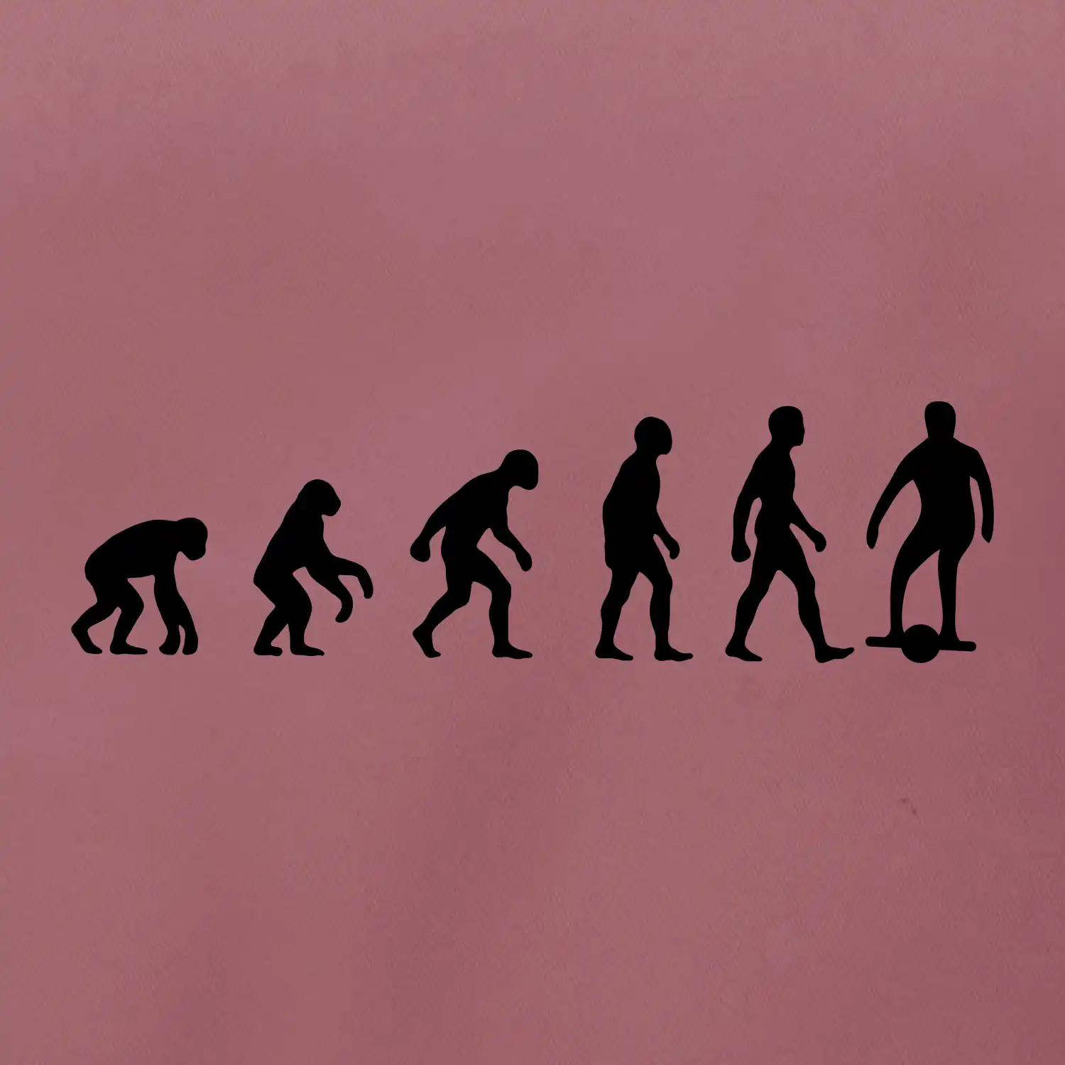 Evoluce onewheel