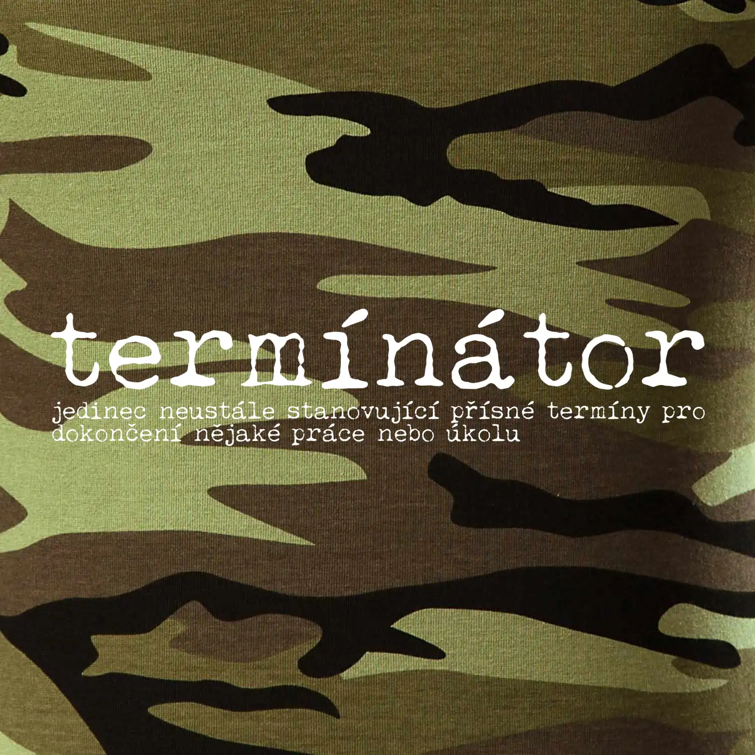 Čeština 2.0 - termínátor