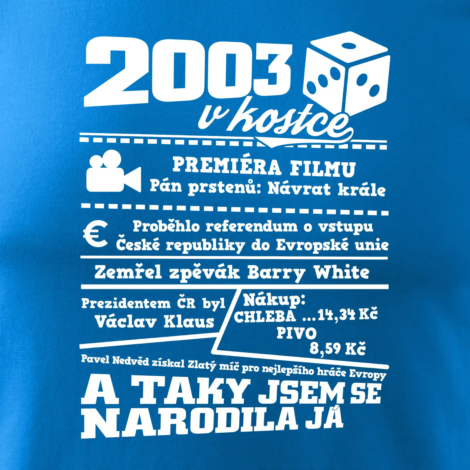 2003 v kostce