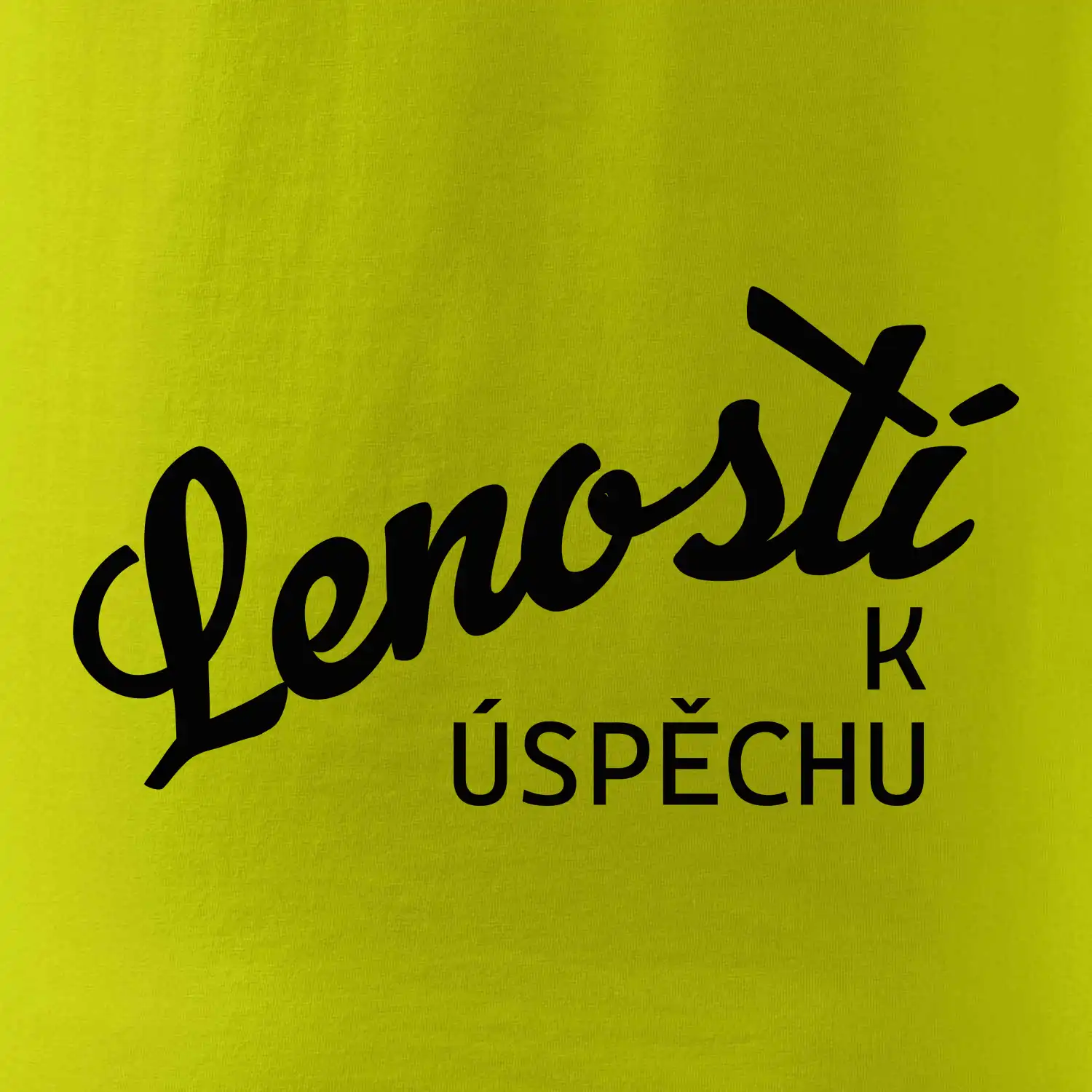 Leností k úspěchu - psací