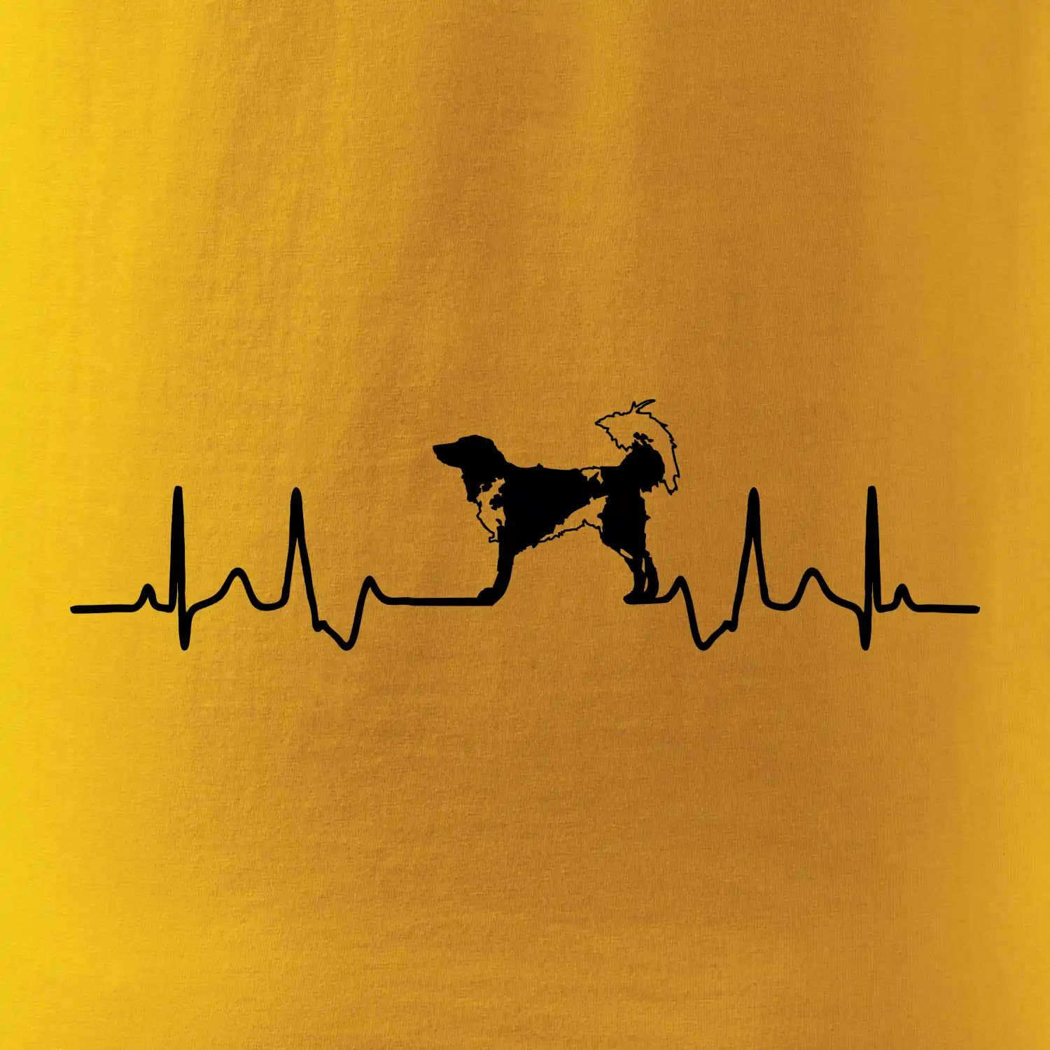 Český strakatý pes EKG