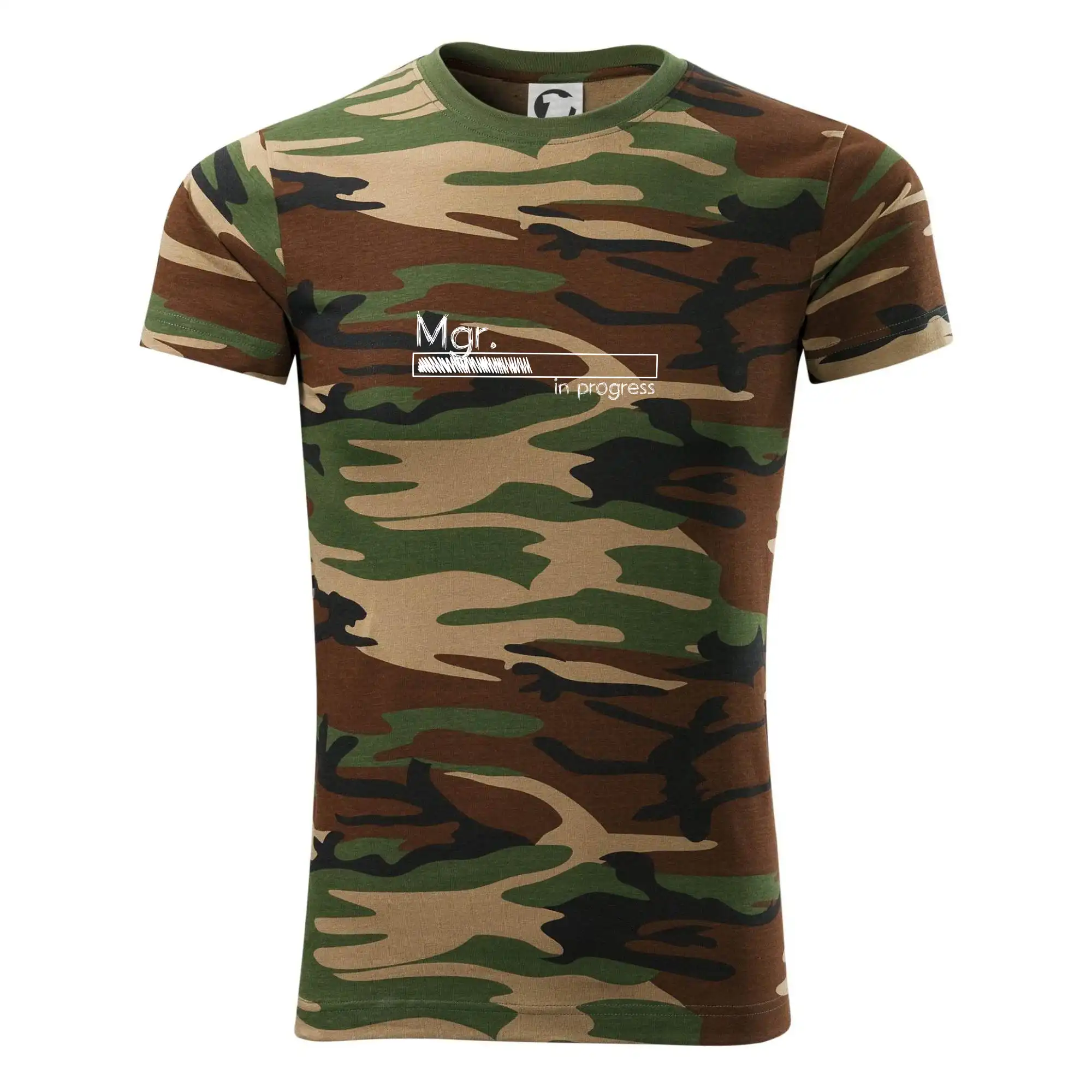 In progress titul Mgr.  magistr / magistra