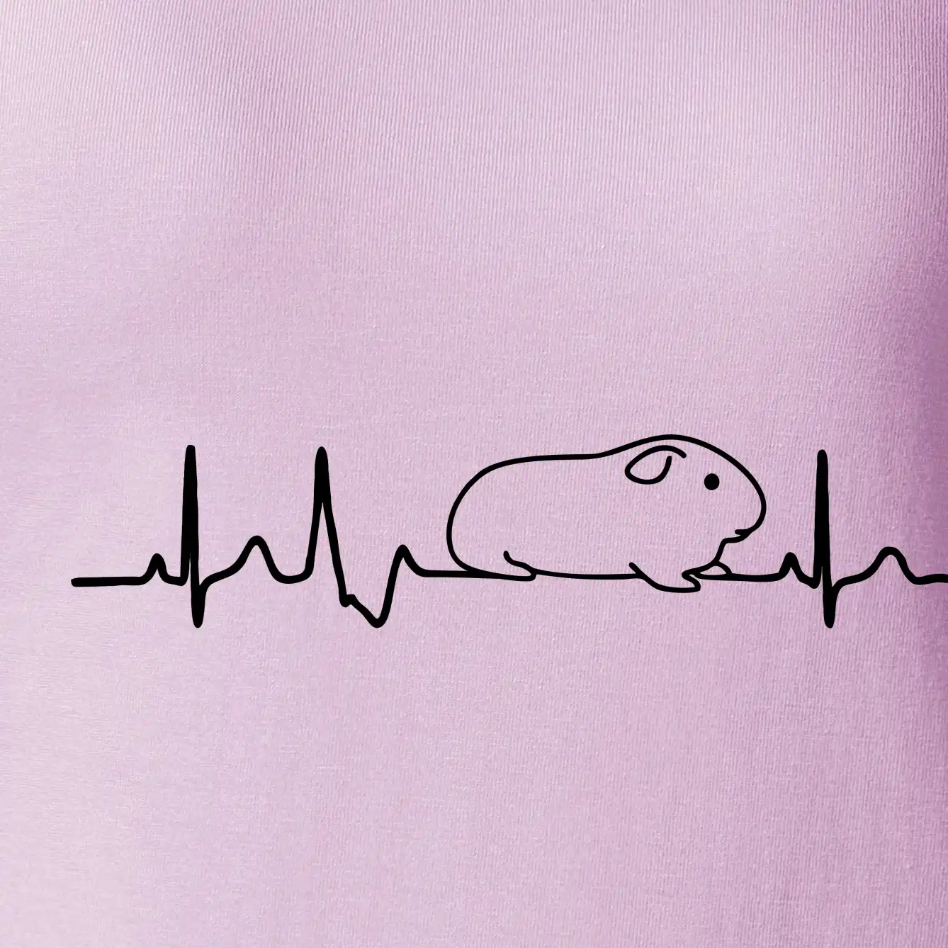 EKG morče