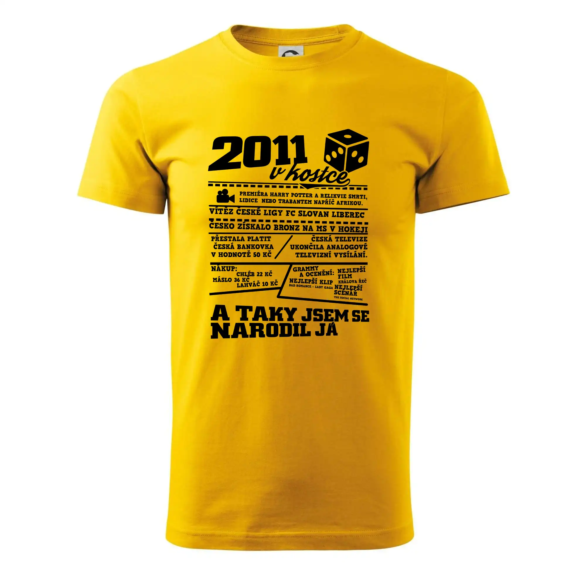 2011 v kostce