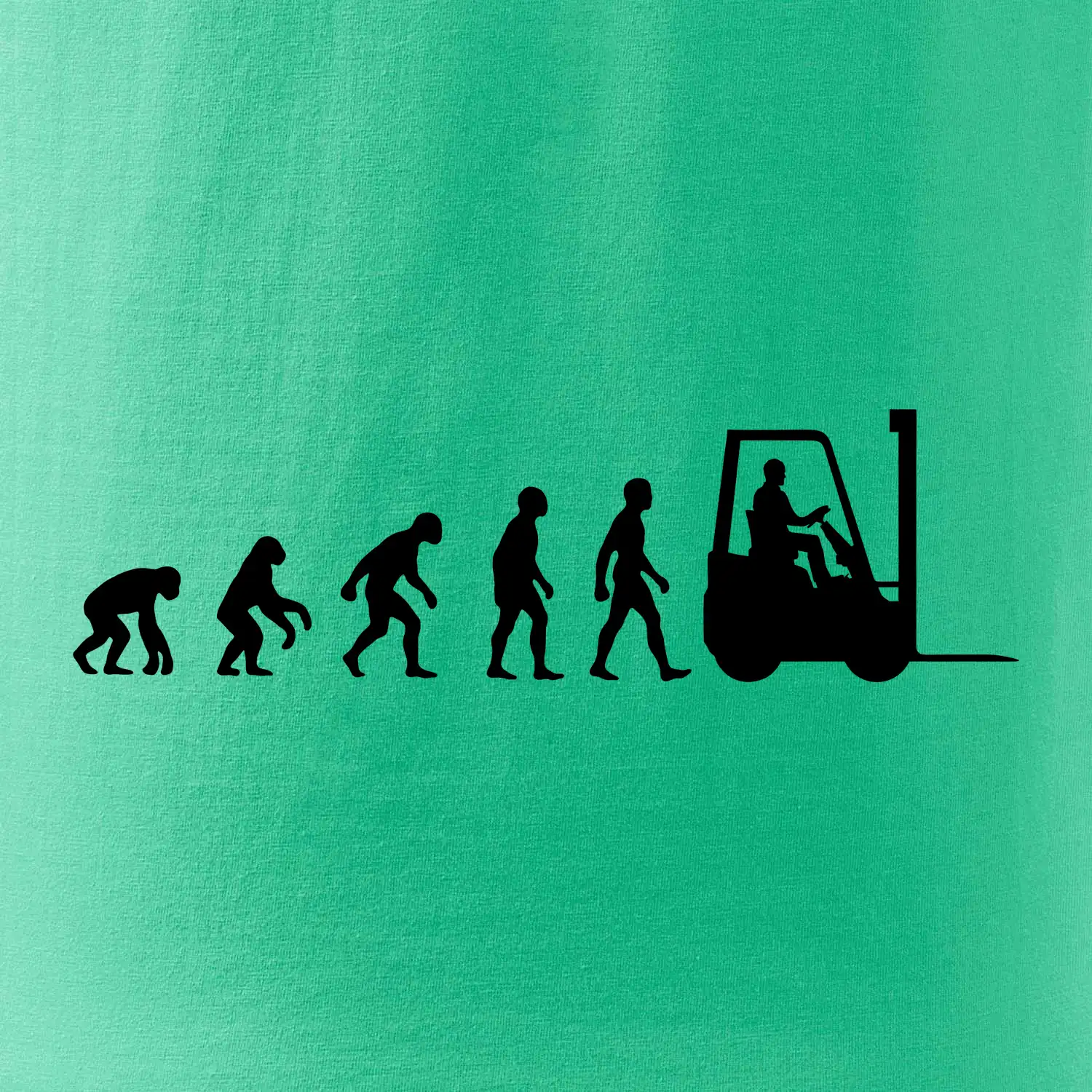 Evoluce ještěrka