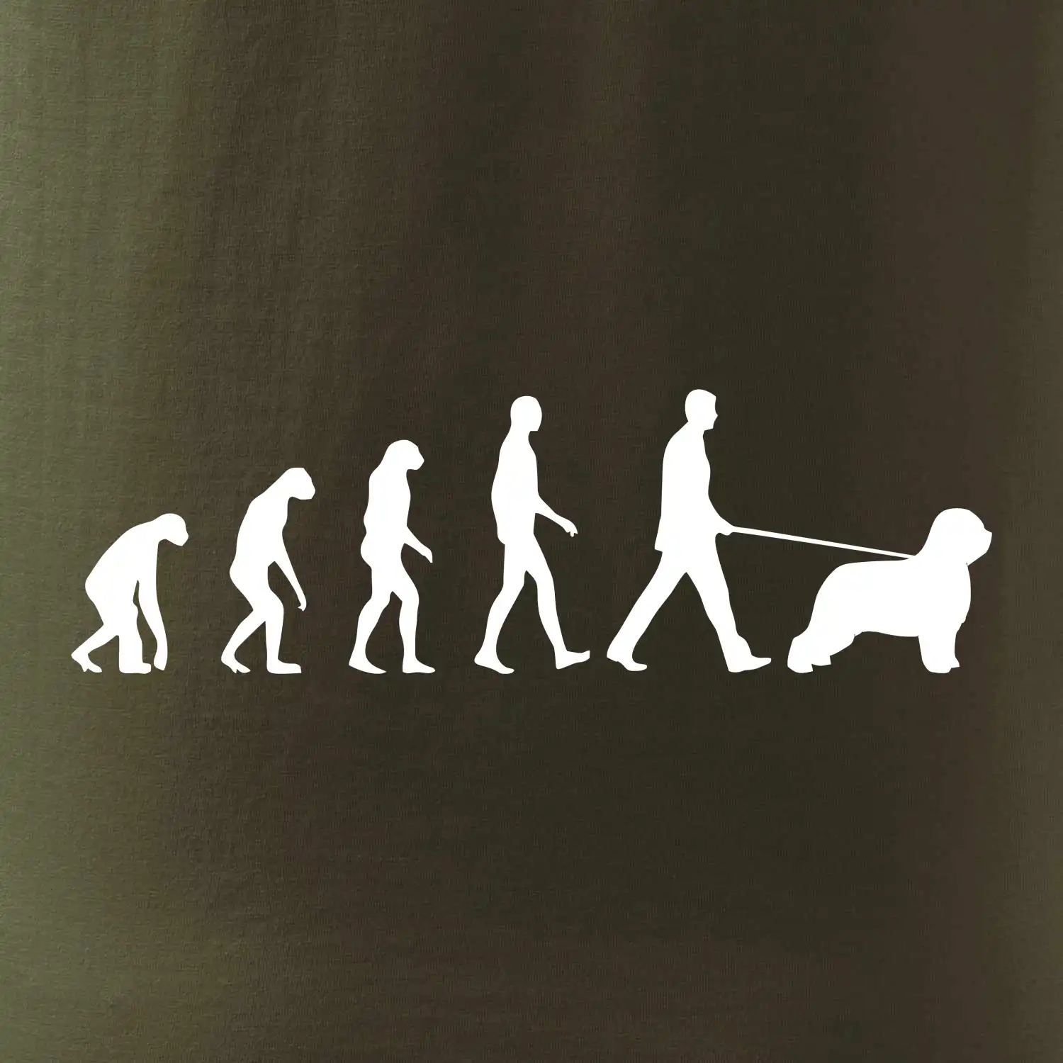 Evoluce pes Briard