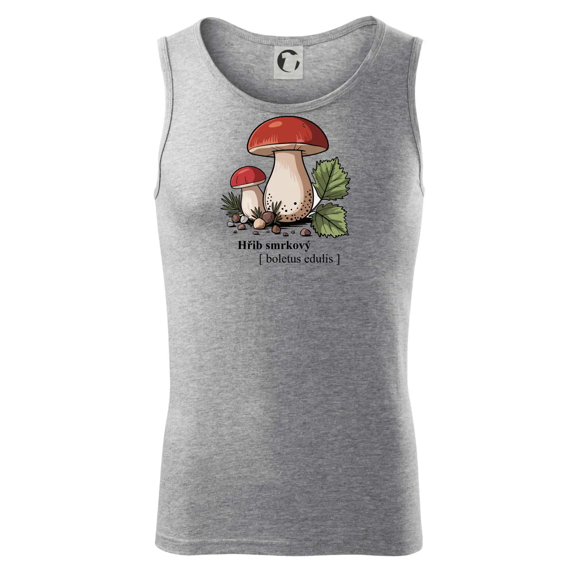 Hřib smrkový - Boletus edulis kreslený