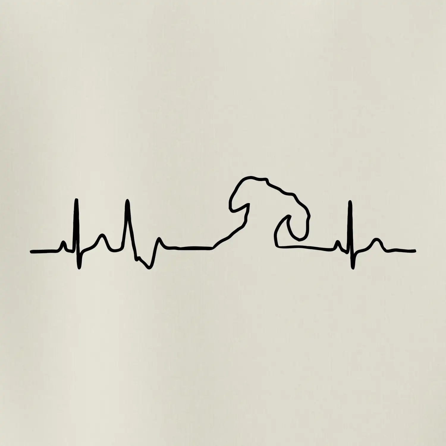 Jezevčík EKG