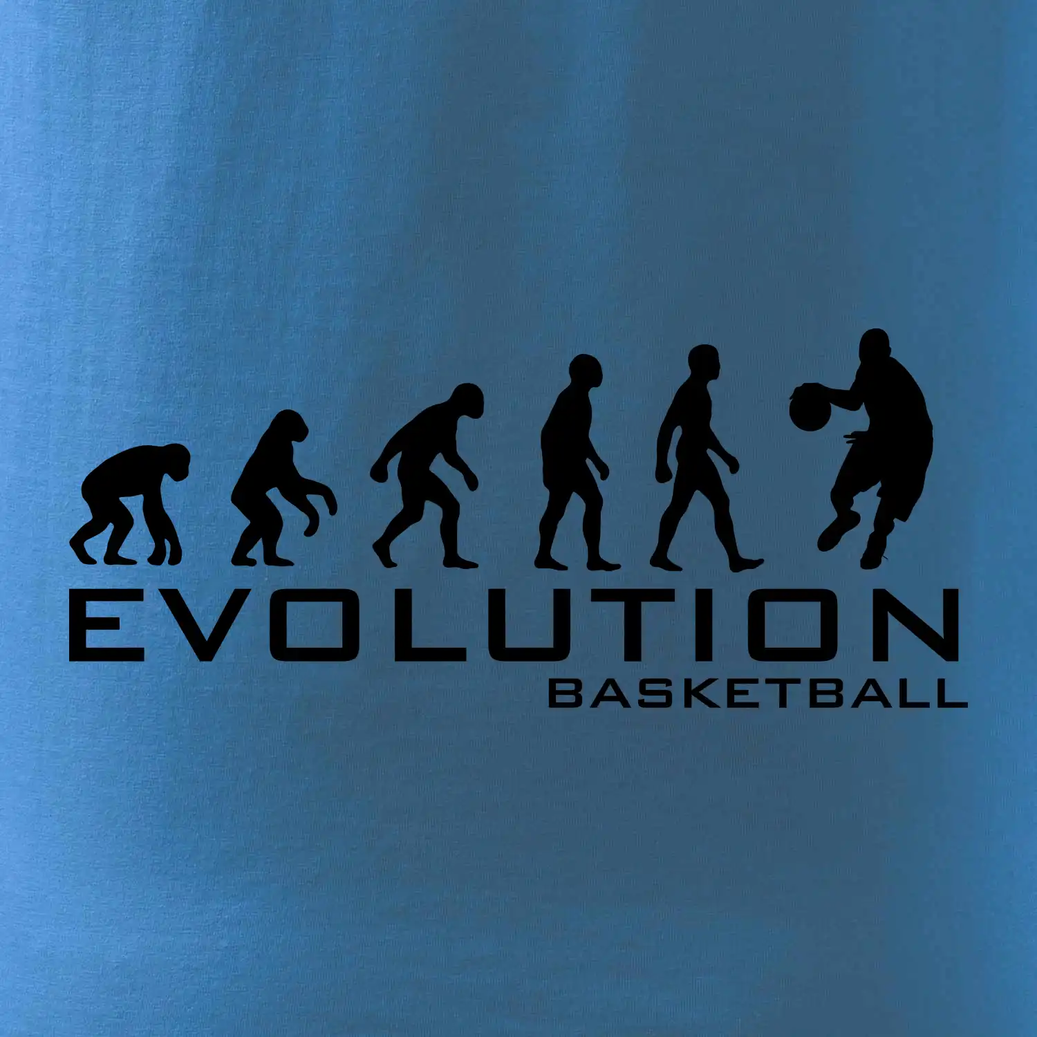 Evoluce Basketball