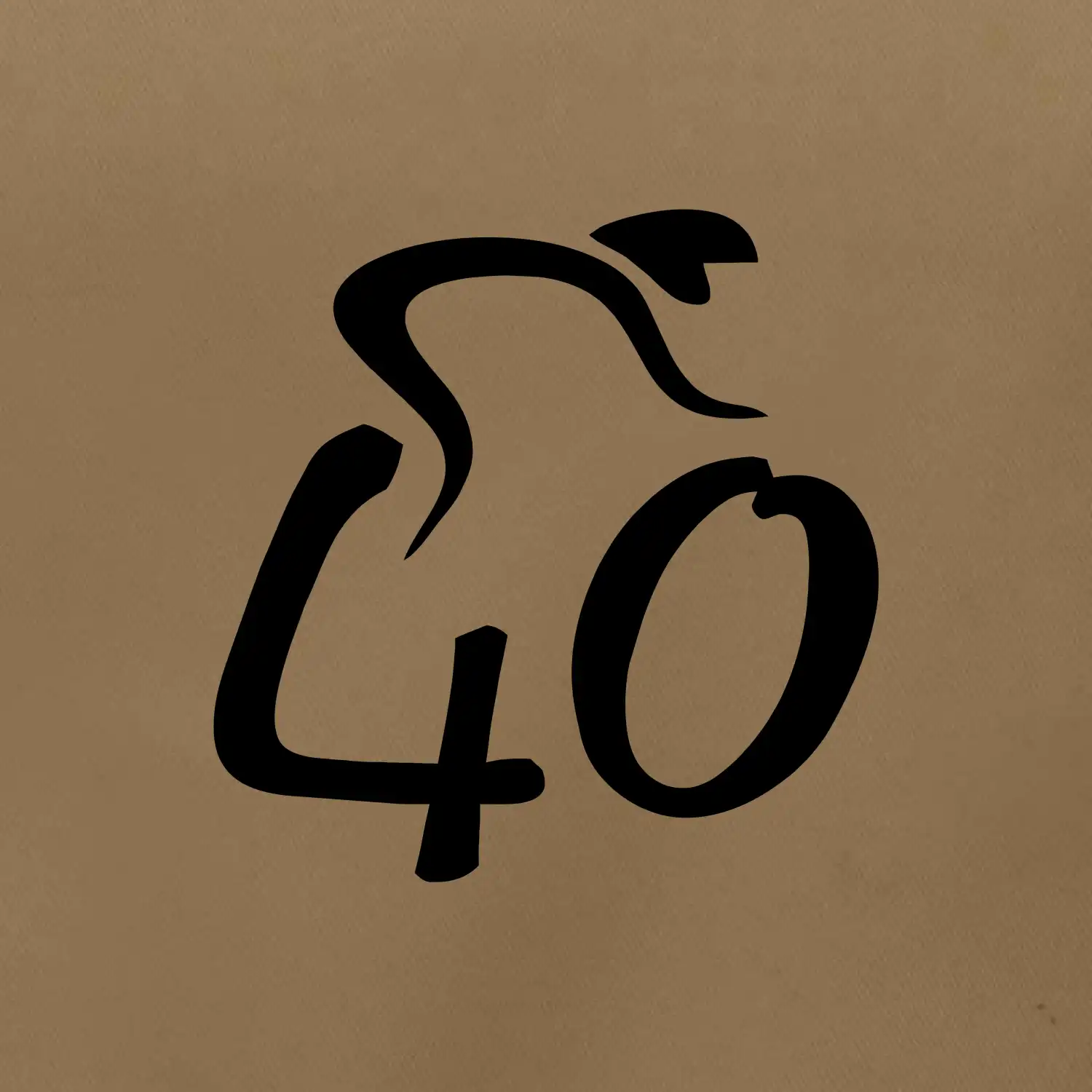 Cyklista slaví čtyřicítku (40)