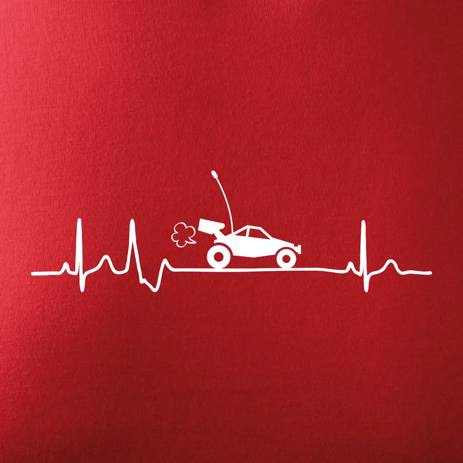EKG RC model