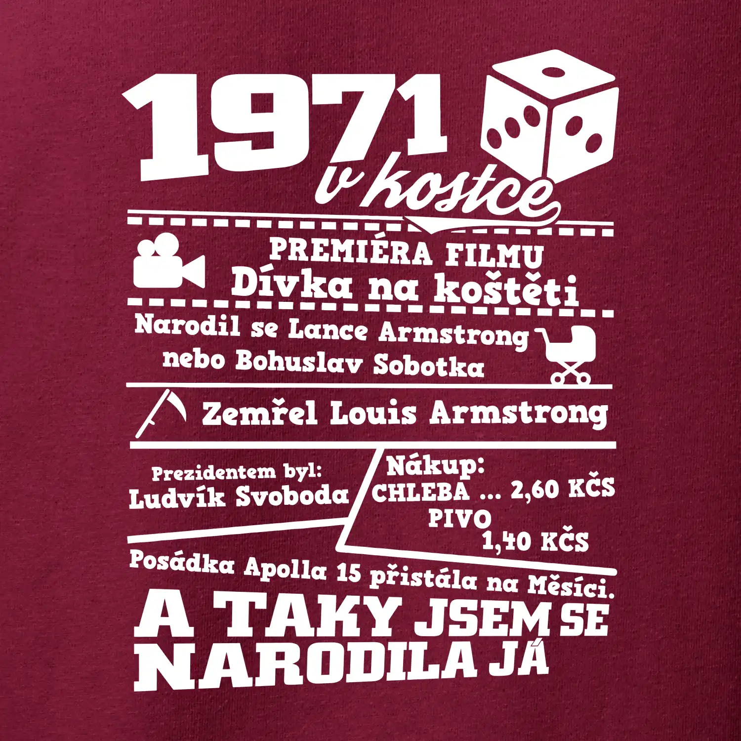 1971 v kostce