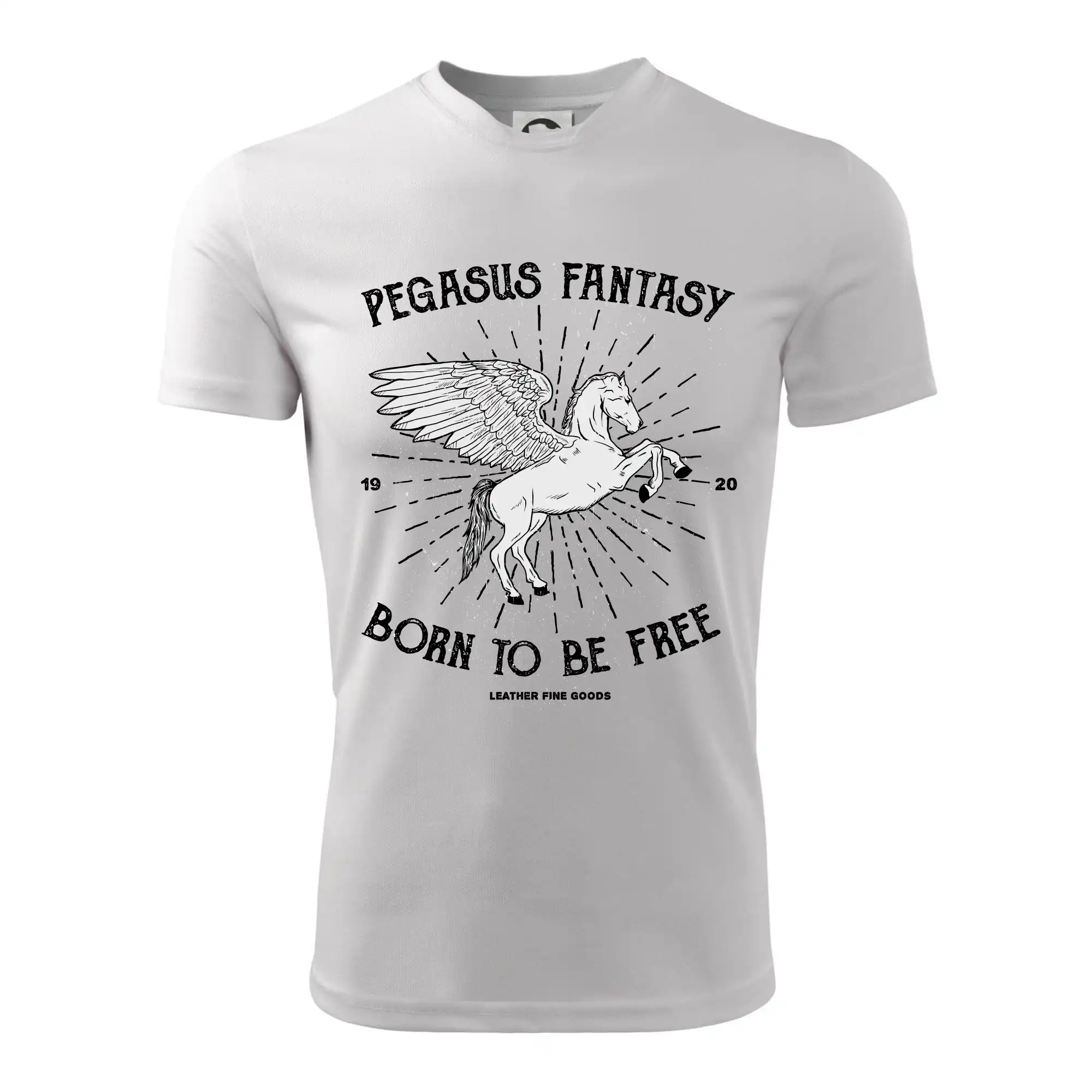Pegasus fantasy