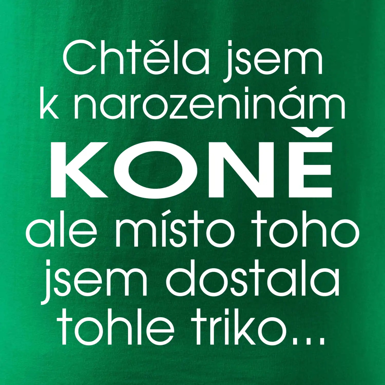 Chtěla jsem dostat k narozeninám koně