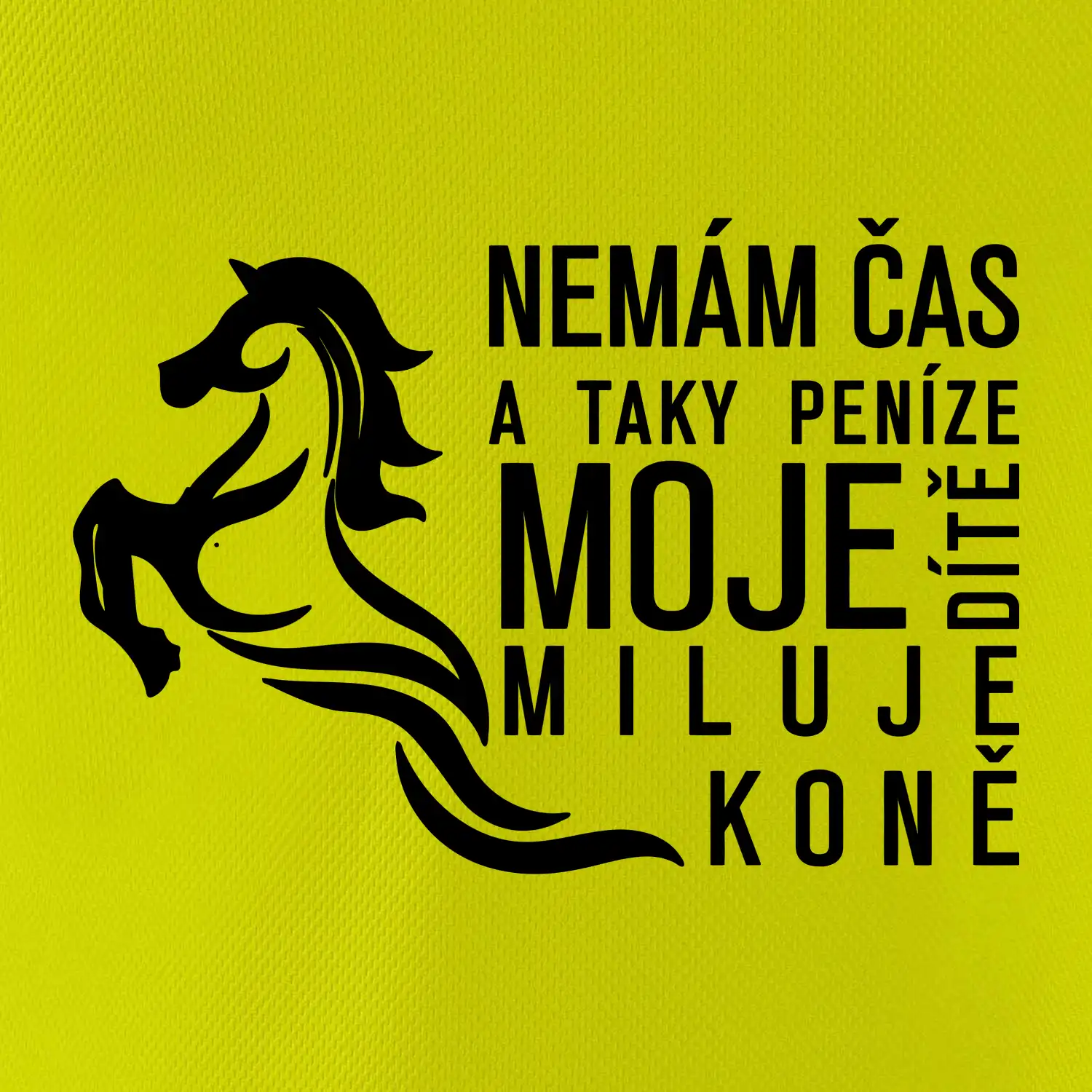 Nemám čas a taky peníze - Kůň