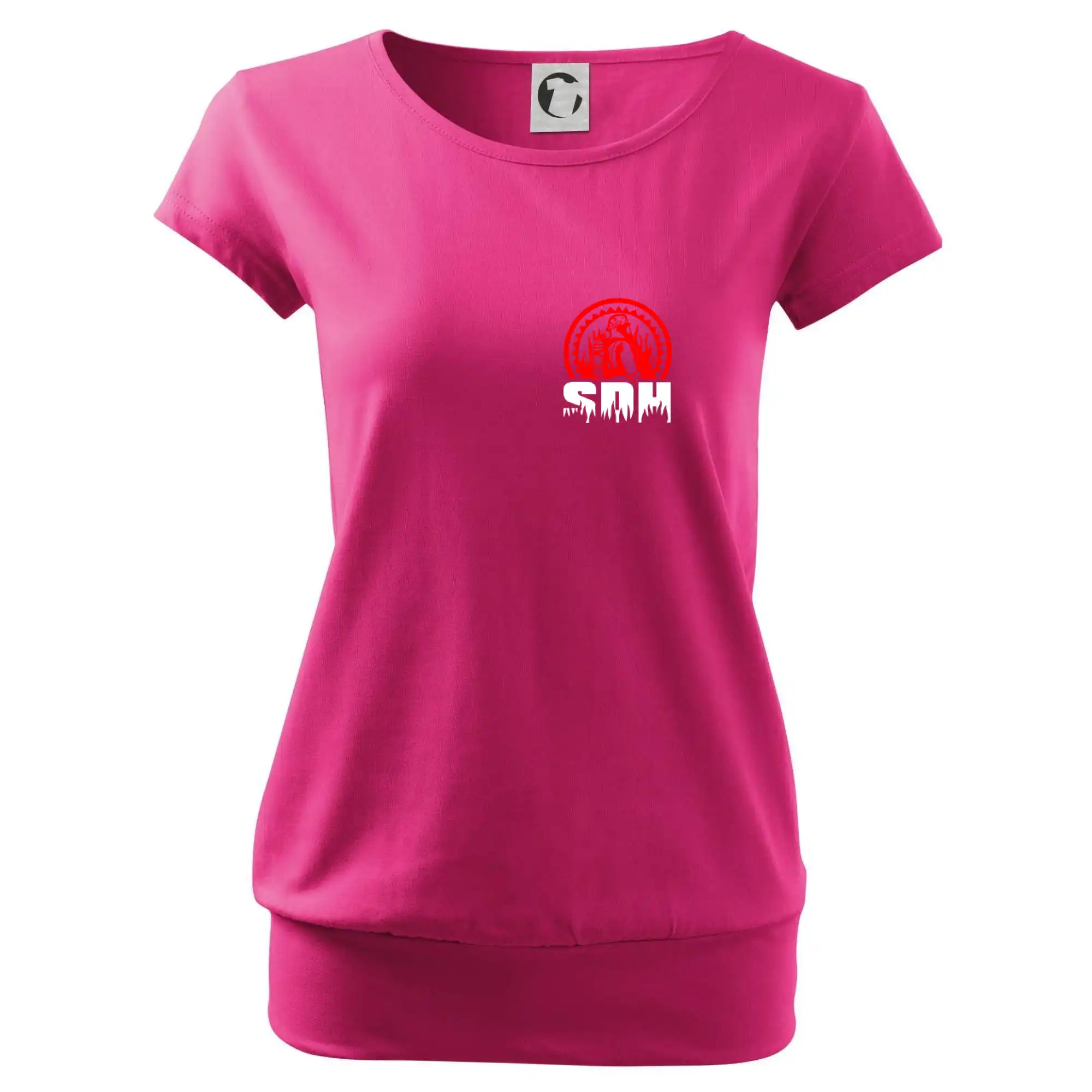 SDH logo