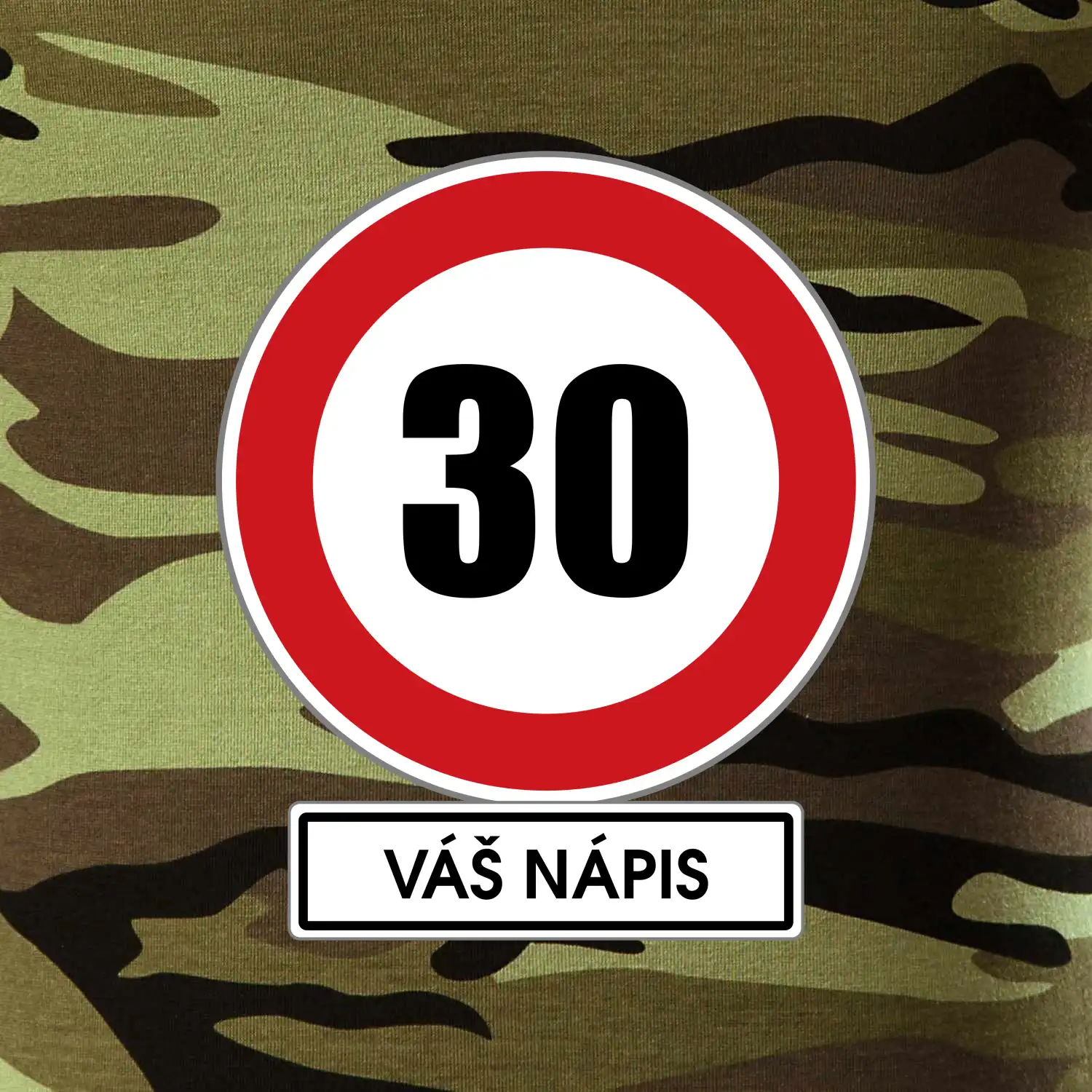 Dopravní značka - rychlost 30 - váš nápis