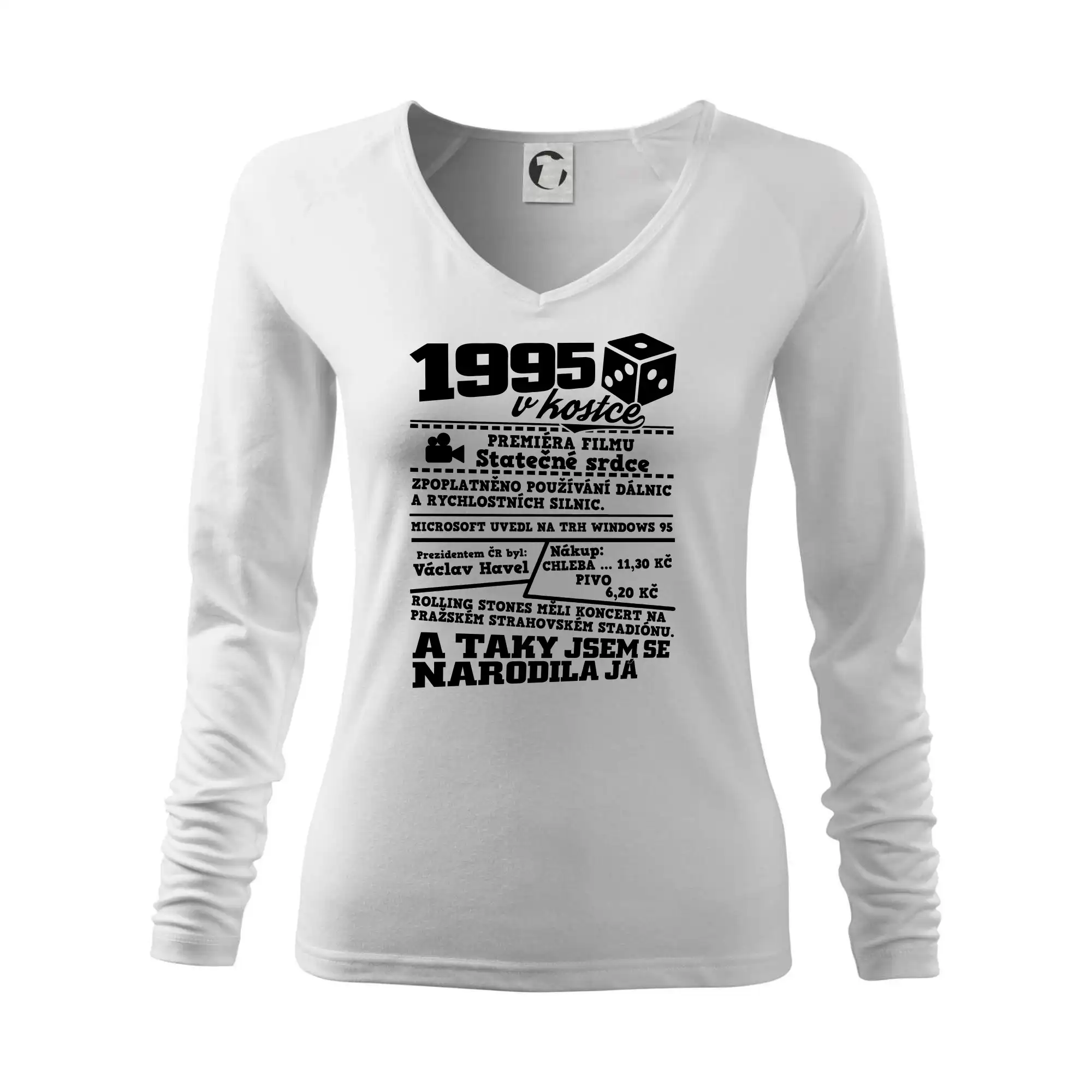 1995 v kostce