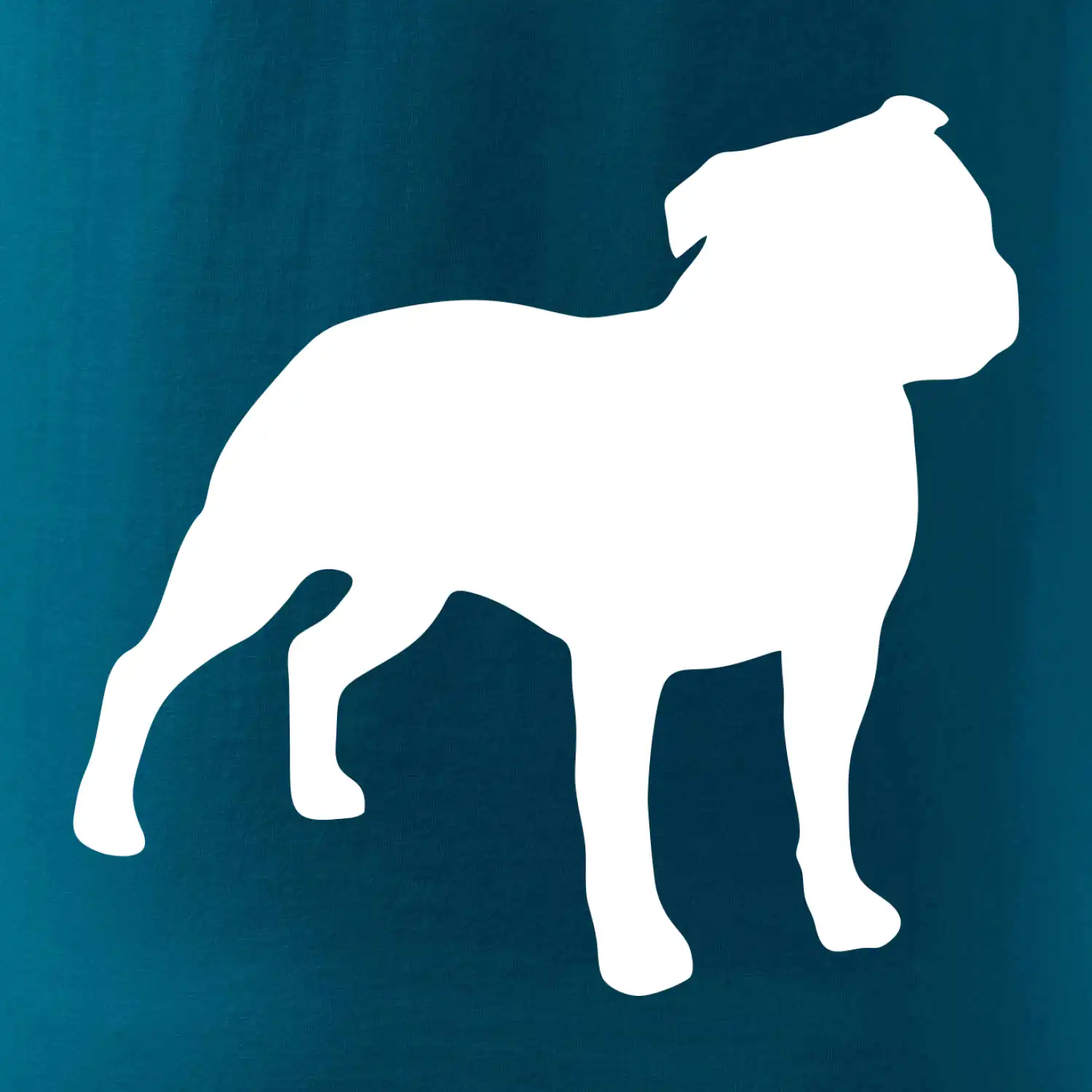 Americký stafordširský teriér  Na prsu